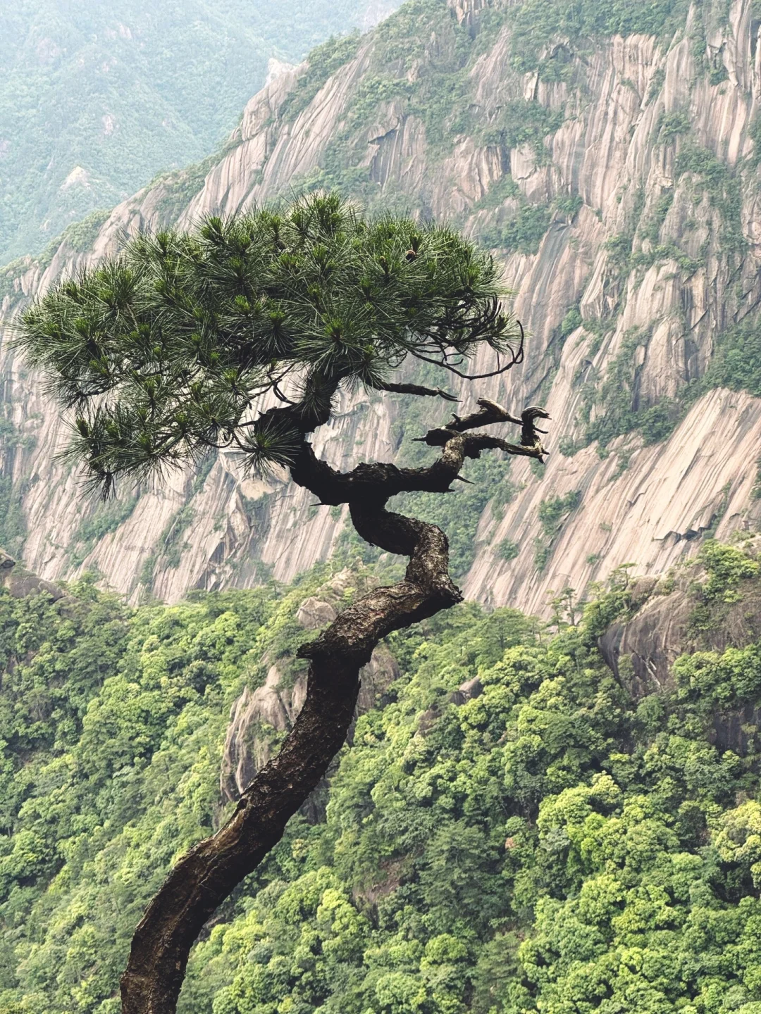 黄山之巅，邂逅云与峰的浪漫！