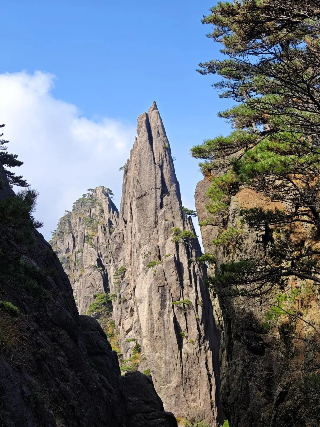 黄山之巅，邂逅云与峰的浪漫！