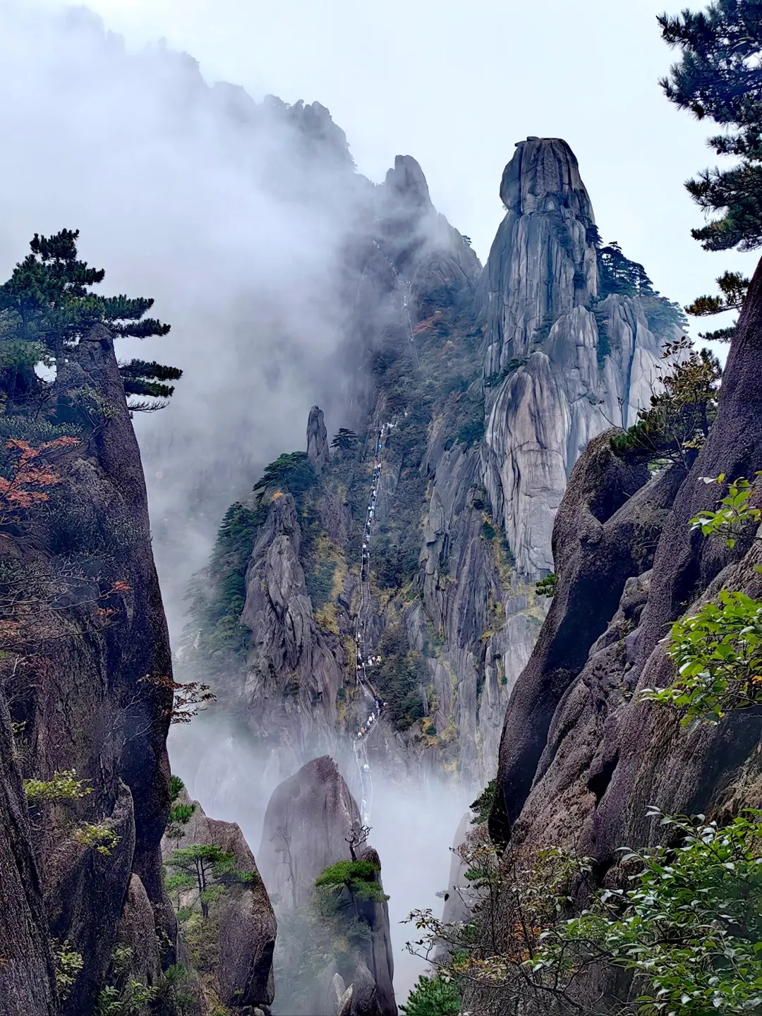 黄山之巅，邂逅云与峰的浪漫！