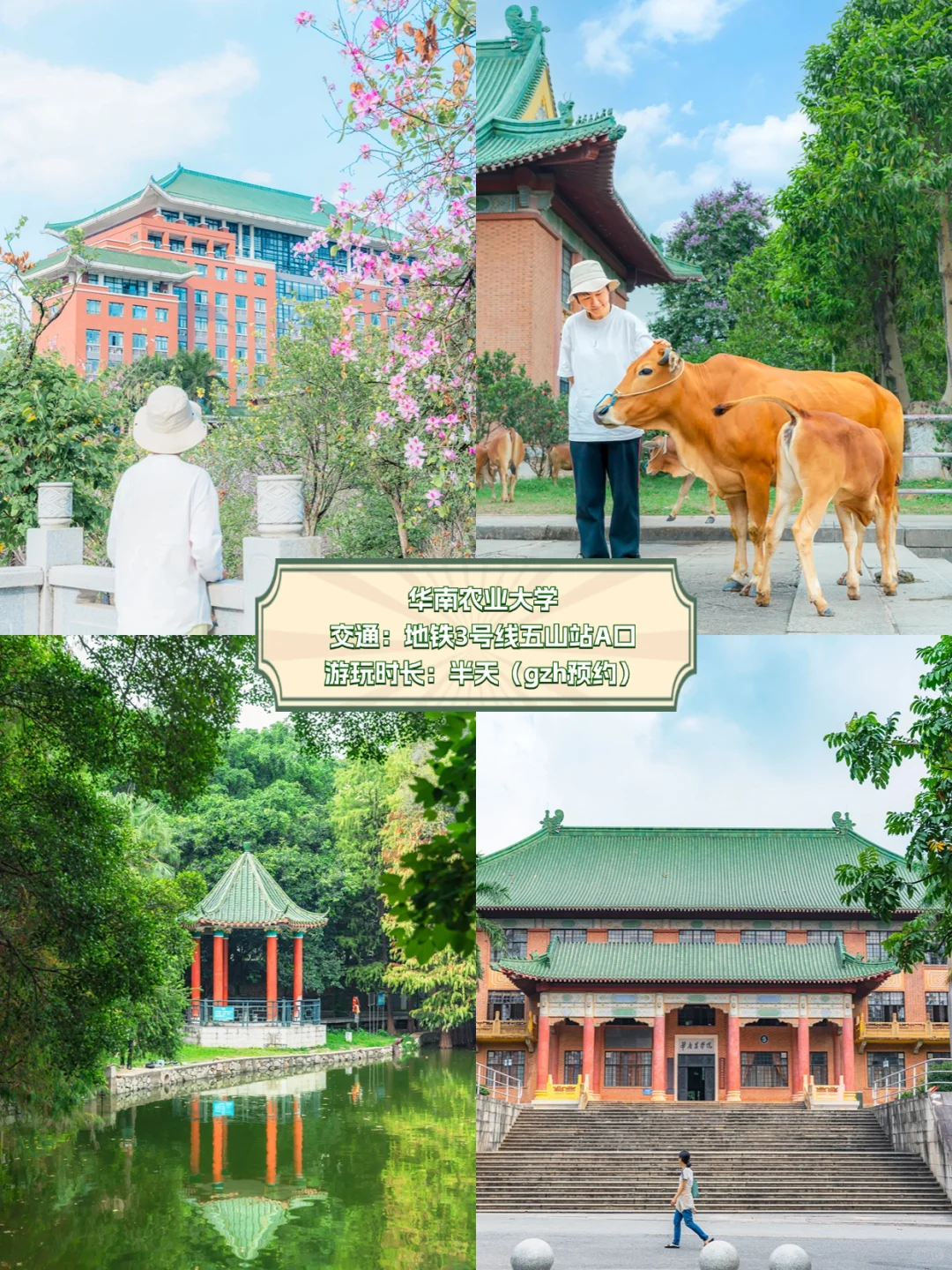 国庆慢慢玩｜广州旅游必打卡15个网红景点