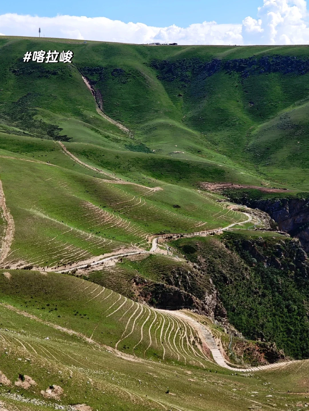 新疆的夏天真的太美了❗️