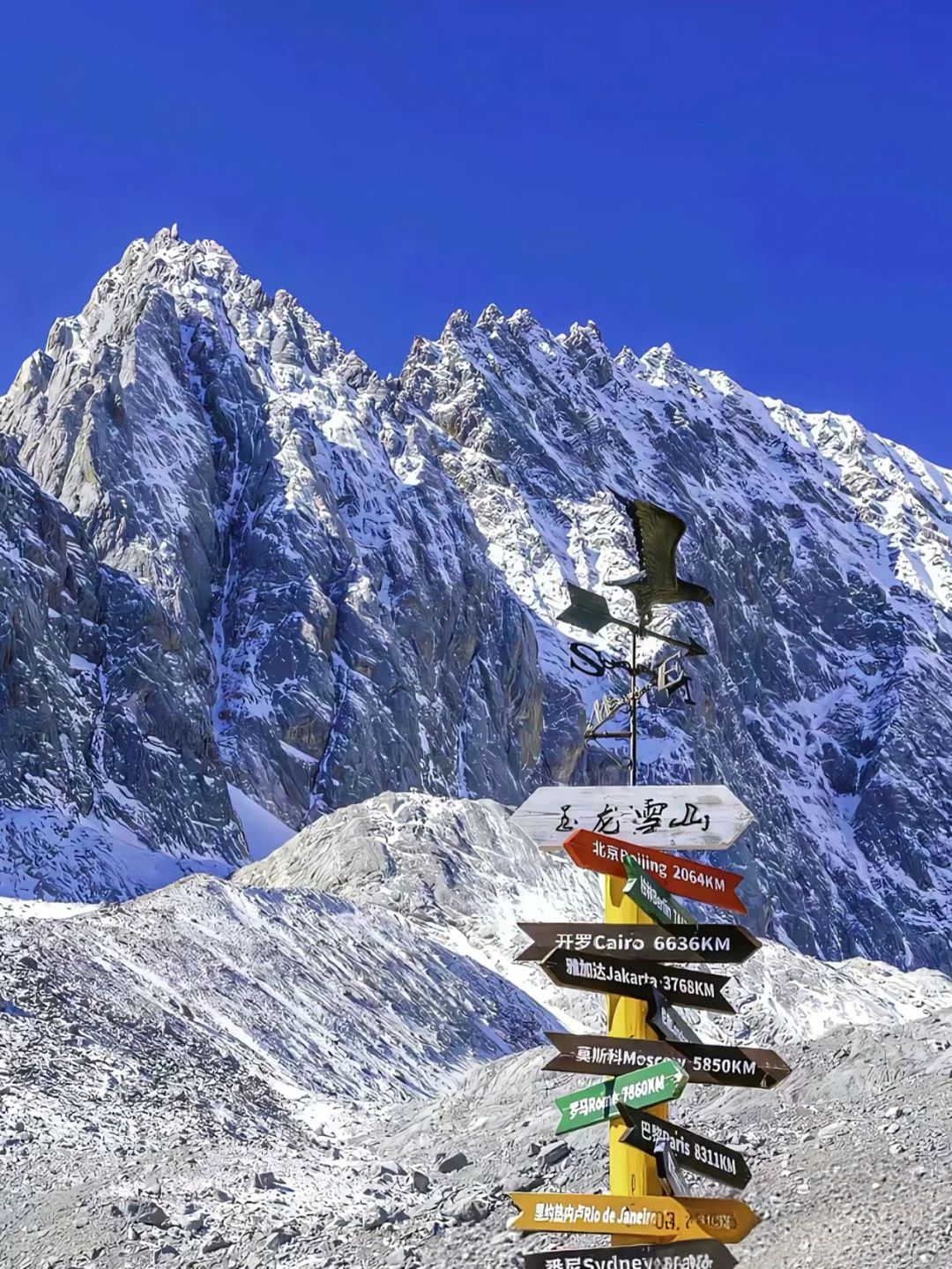 ⛰️玉龙雪山纯玩攻略｜无购物超值体验👓