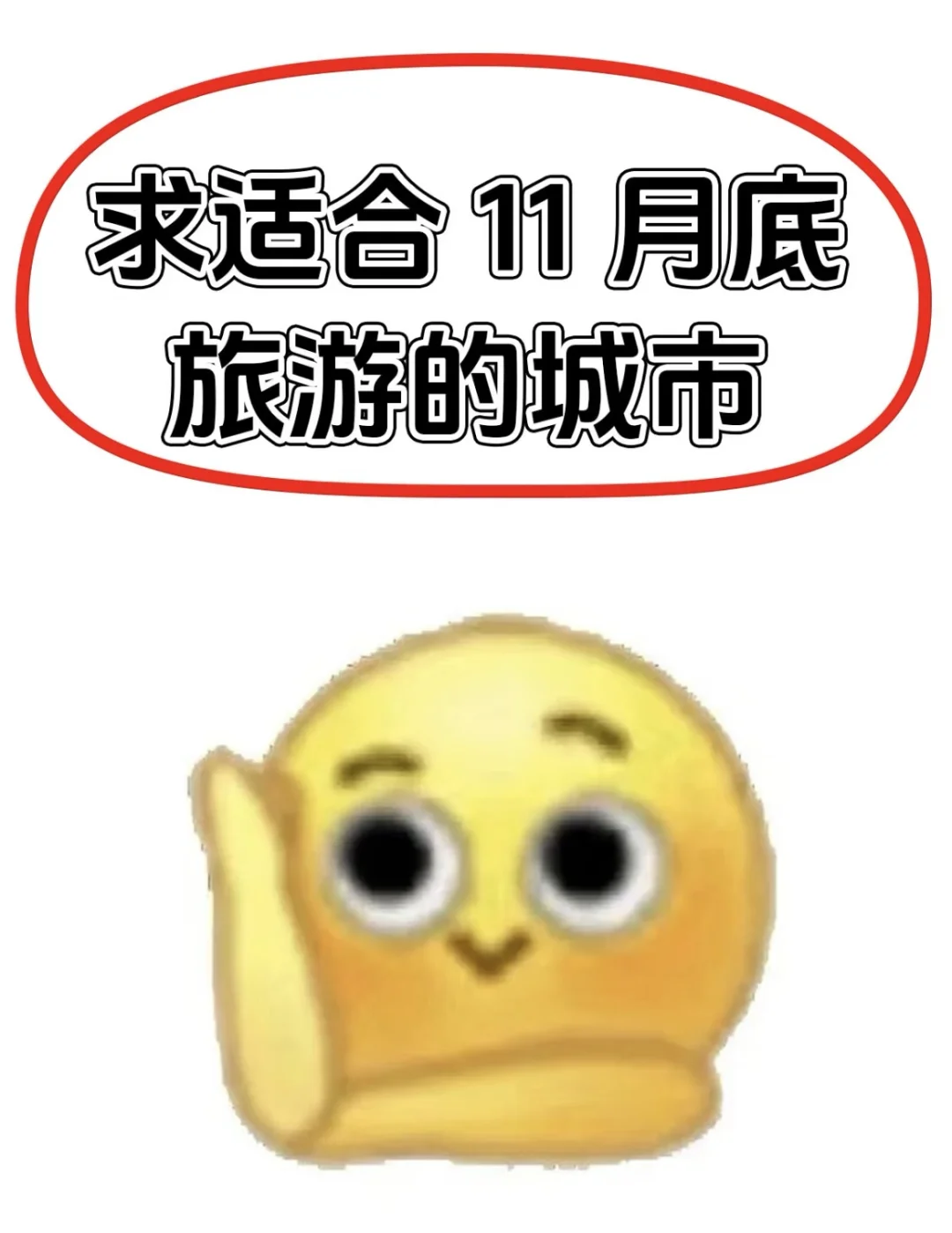 求11月底适合旅游的城市