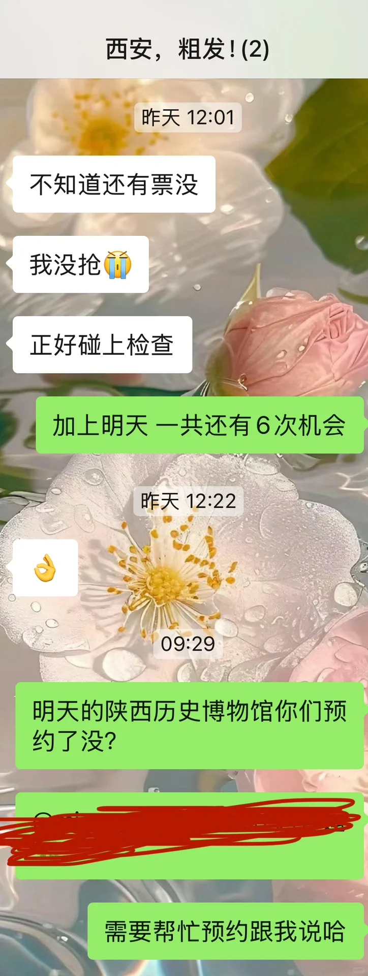 不要随便找旅行搭子
