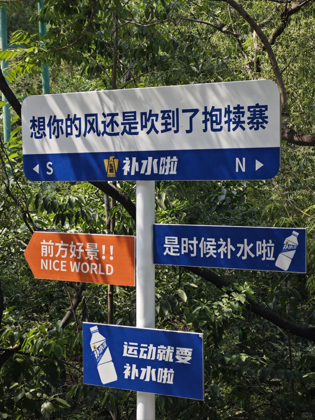 河北 石家庄