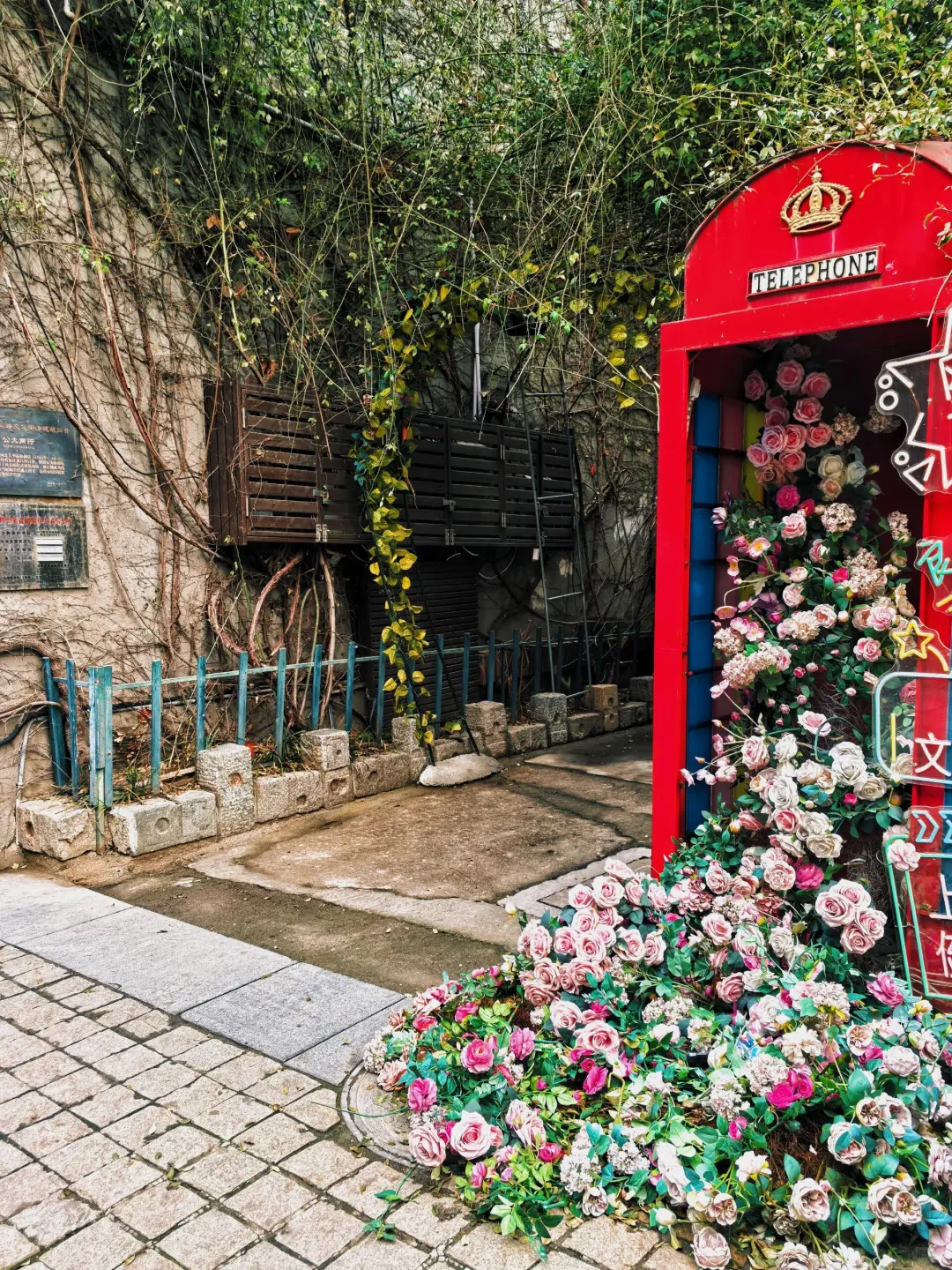 生态休闲港城，神奇浪漫之都🌹