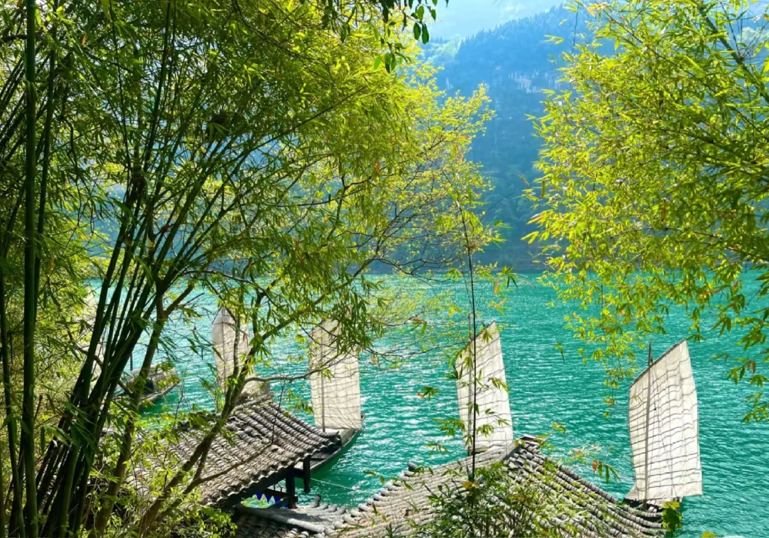 去旅游啦!美我一大跳