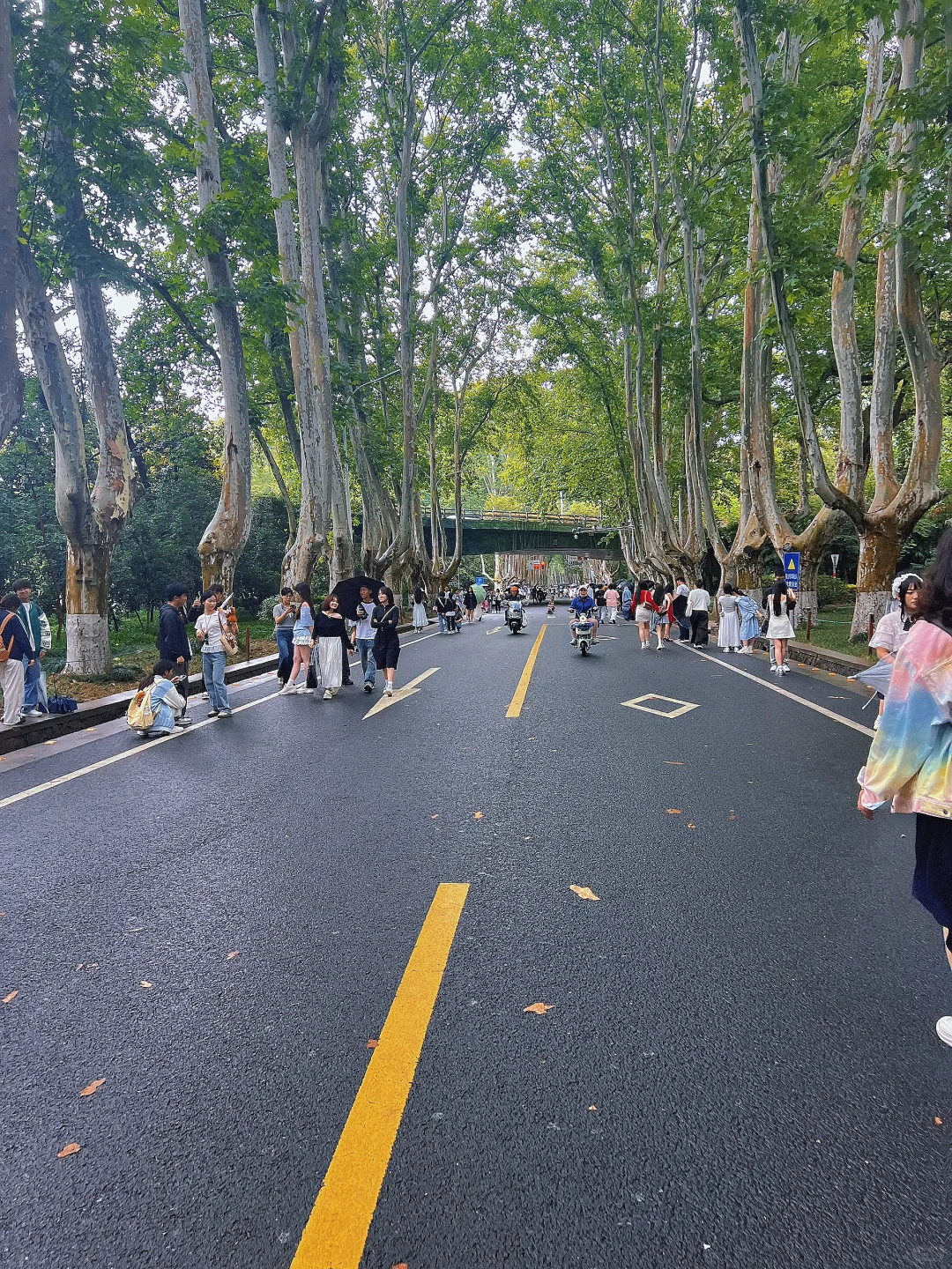 南京旅游后的攻略分享 省钱攻略分享‼️