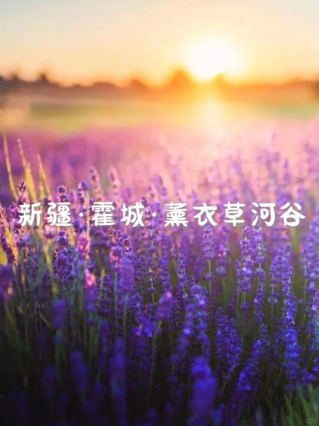 国内6个梦幻旅行天花板，美到失语