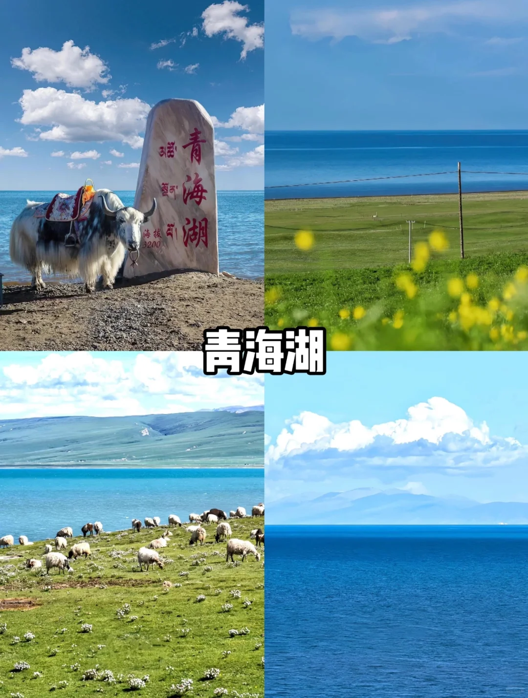 大西北！！！