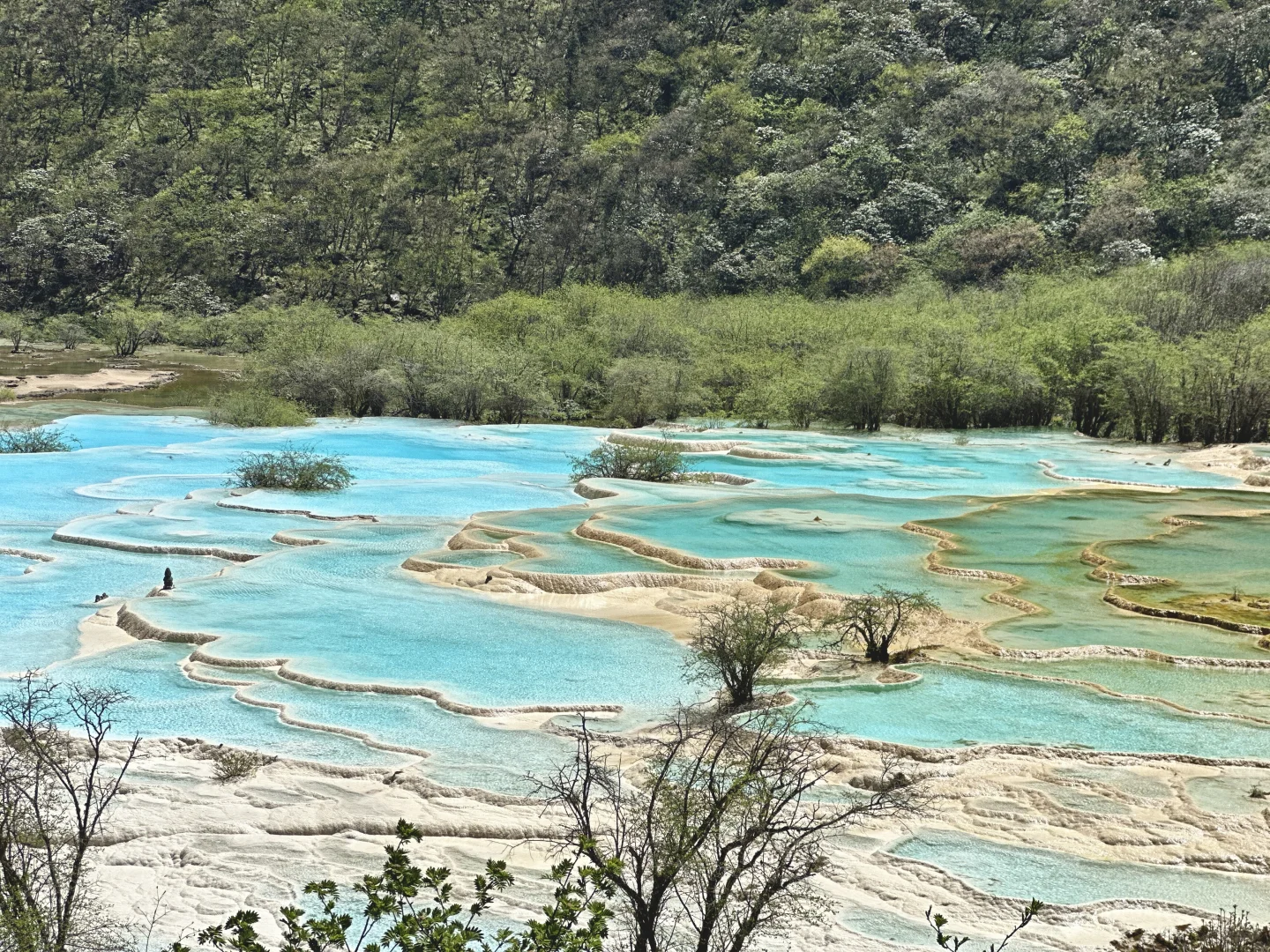 黄龙风景区