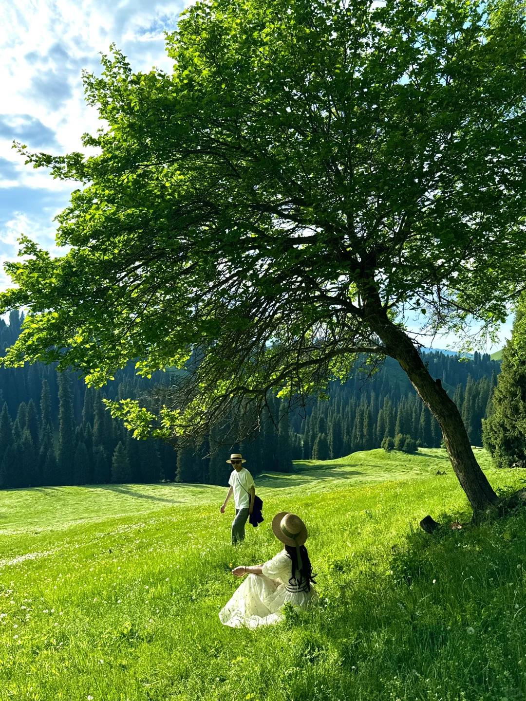 人生live🌲！这是我梦里的那片草原～