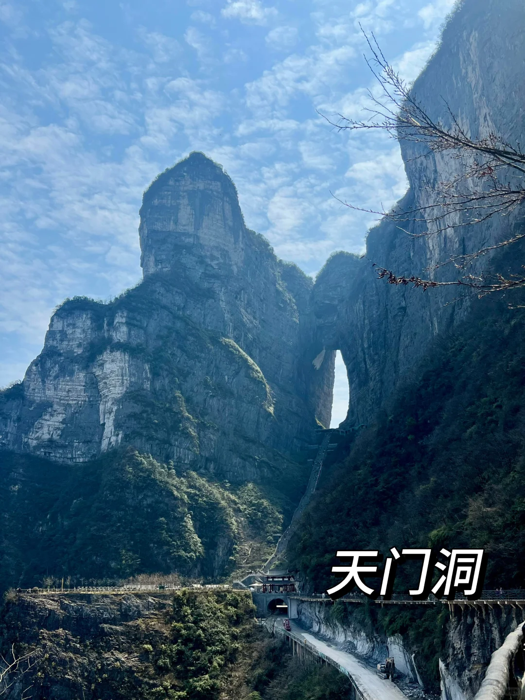 本地人带你玩转天门山国家森林公园