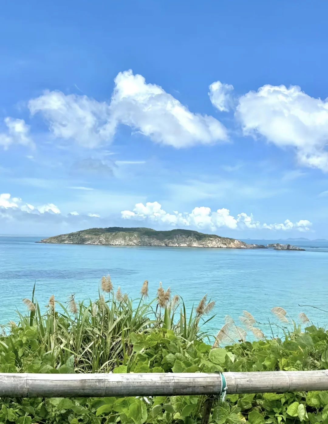 🌊2025南麂岛全攻略｜承包你的海岛九宫格