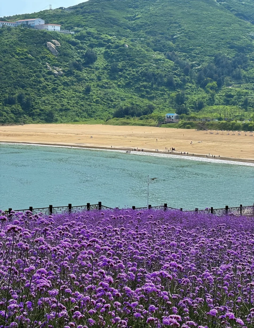 🌊2025南麂岛全攻略｜承包你的海岛九宫格