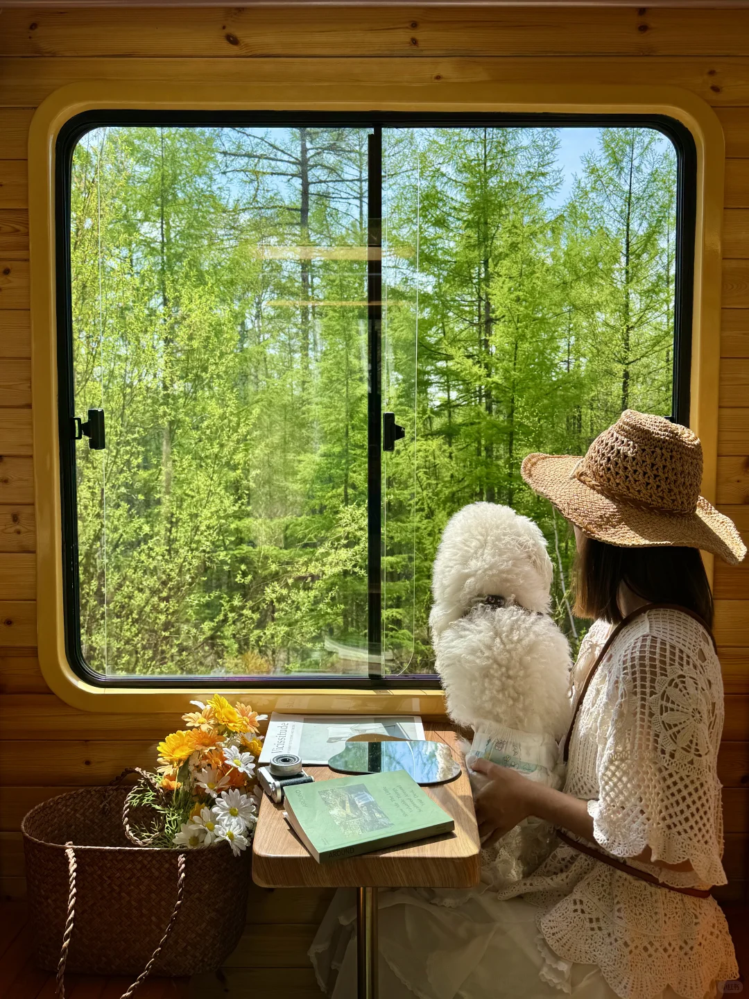 live以为呼伦贝尔已经够美了，直到我去了…