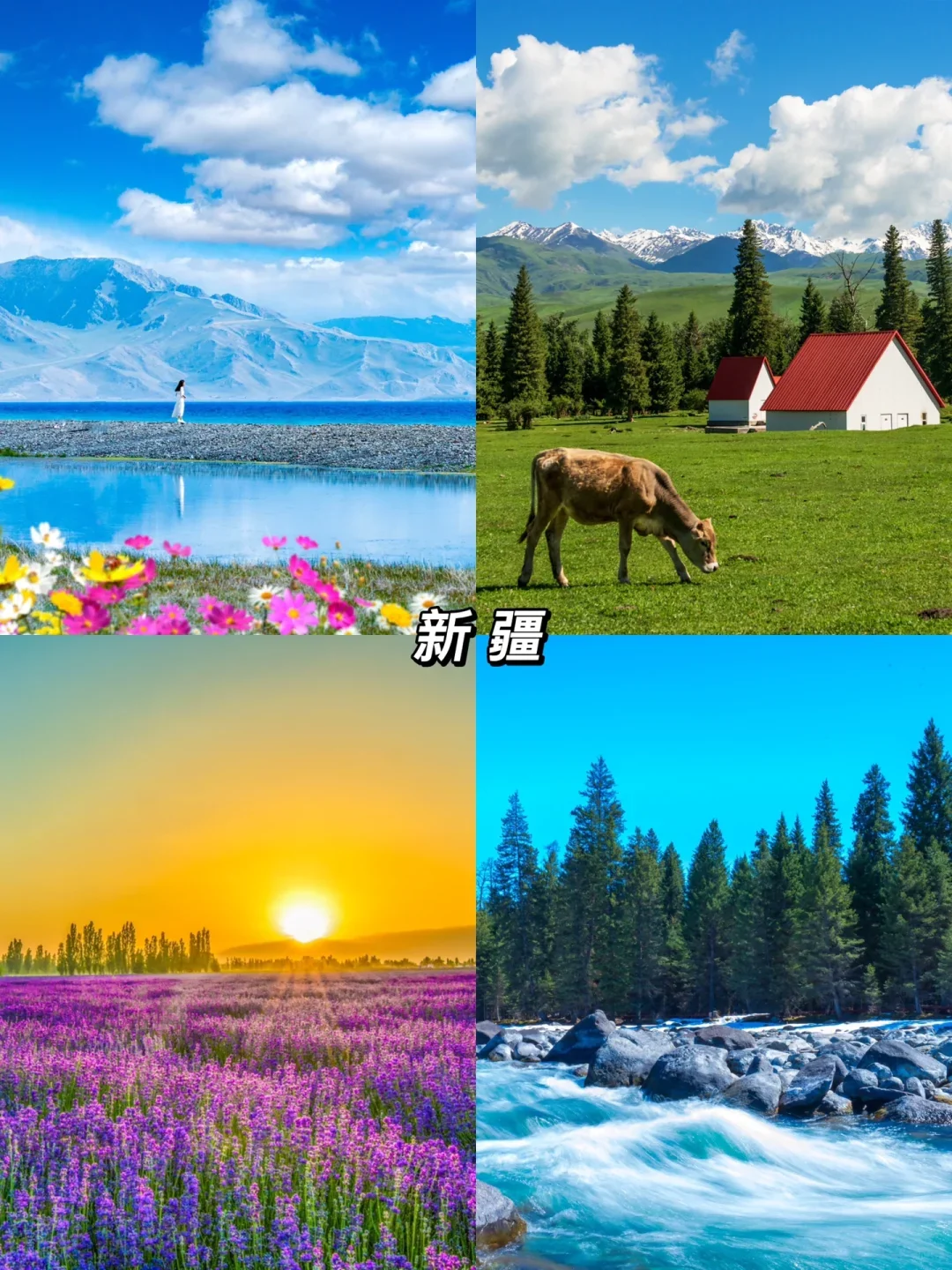 🏔别把青春困在遗憾里，要热烈自由
