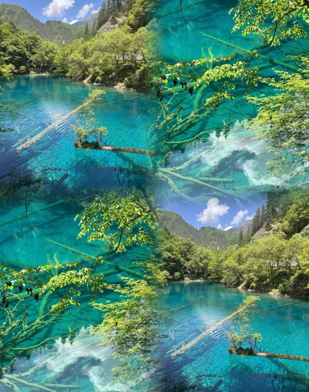 6-7月反向旅游5个避暑胜地推荐✅