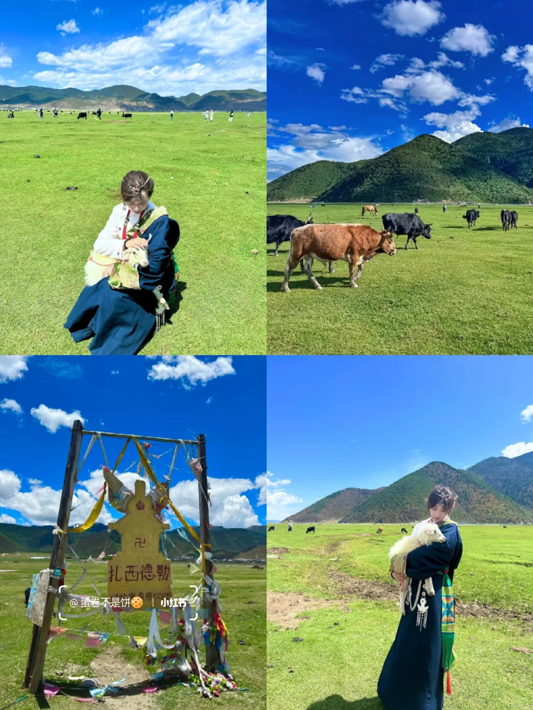 云南已回，真心建议6-7月去，好玩又不热…