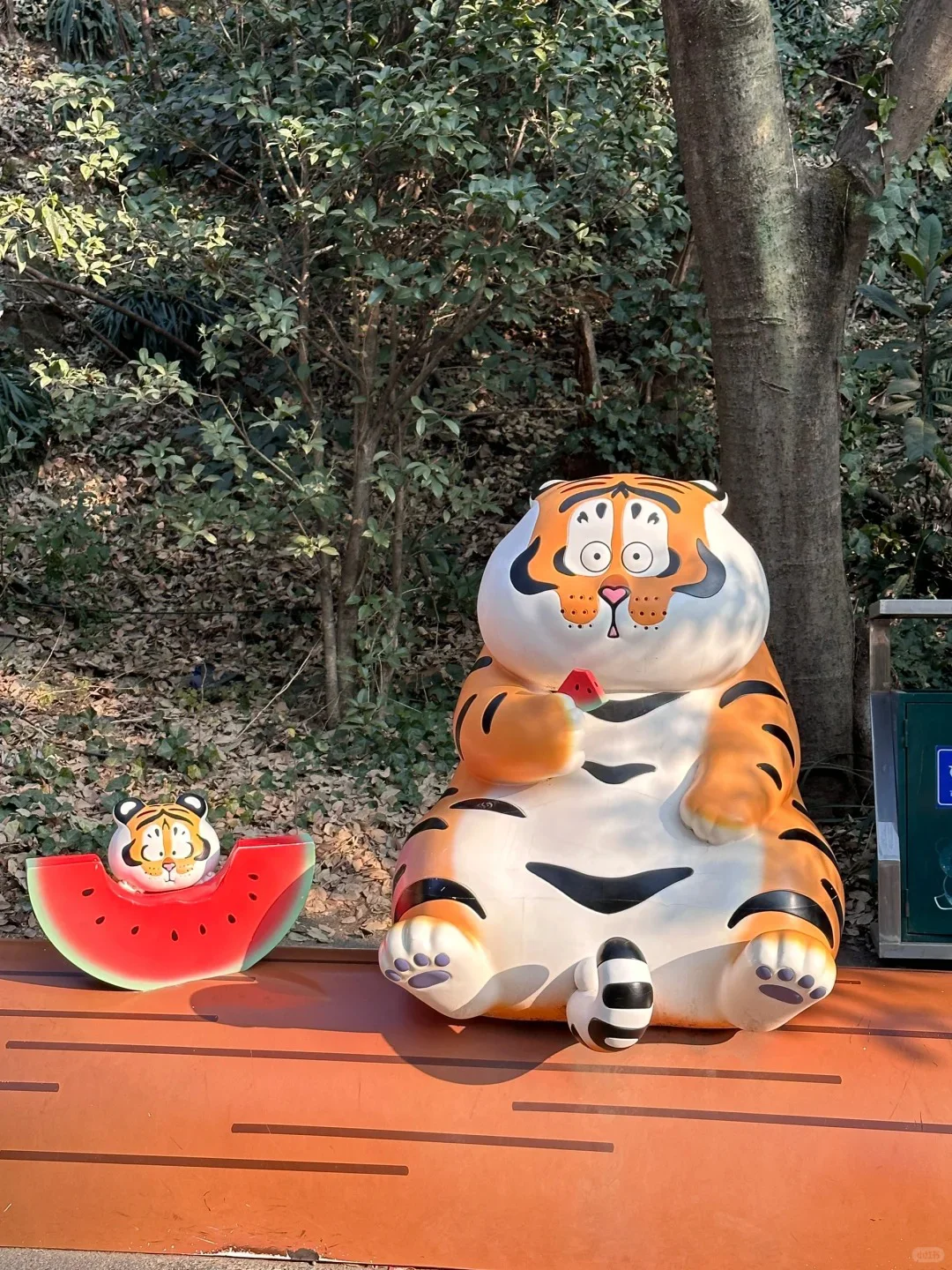6-8月去南京红山动物园旅游🔥一定要听劝!!