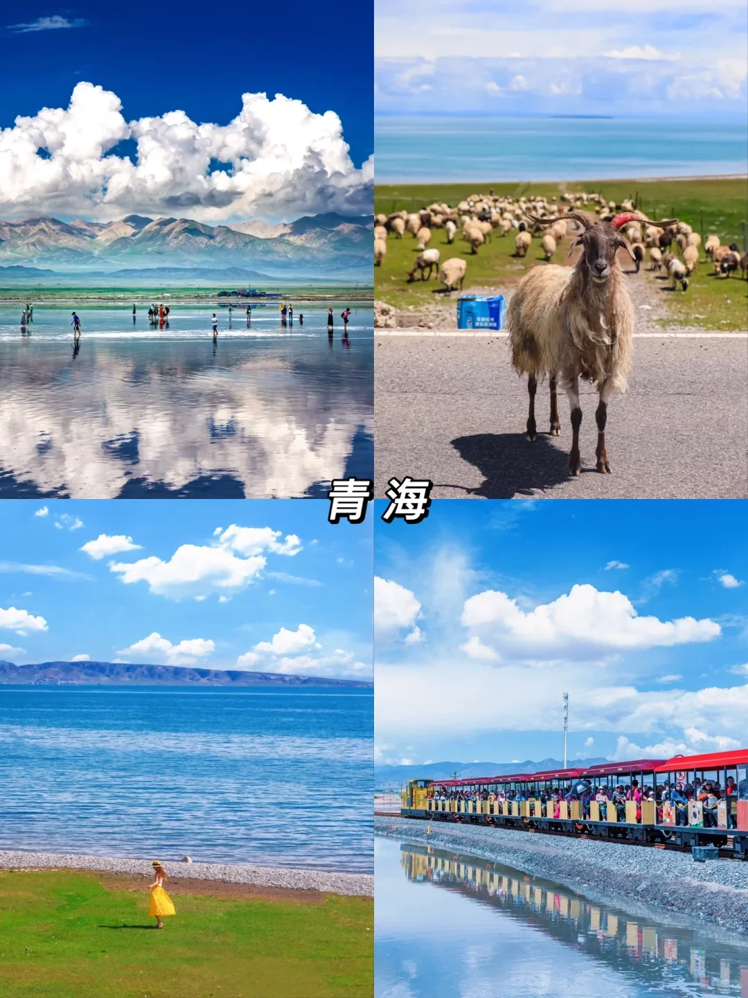 🏔别把青春困在遗憾里，要热烈自由