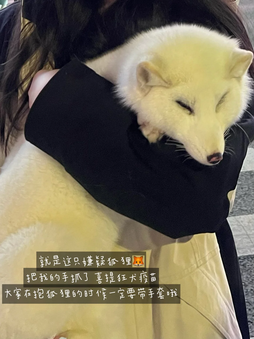 🎀04女大学生延吉旅游plog（附吃喝玩乐攻略）
