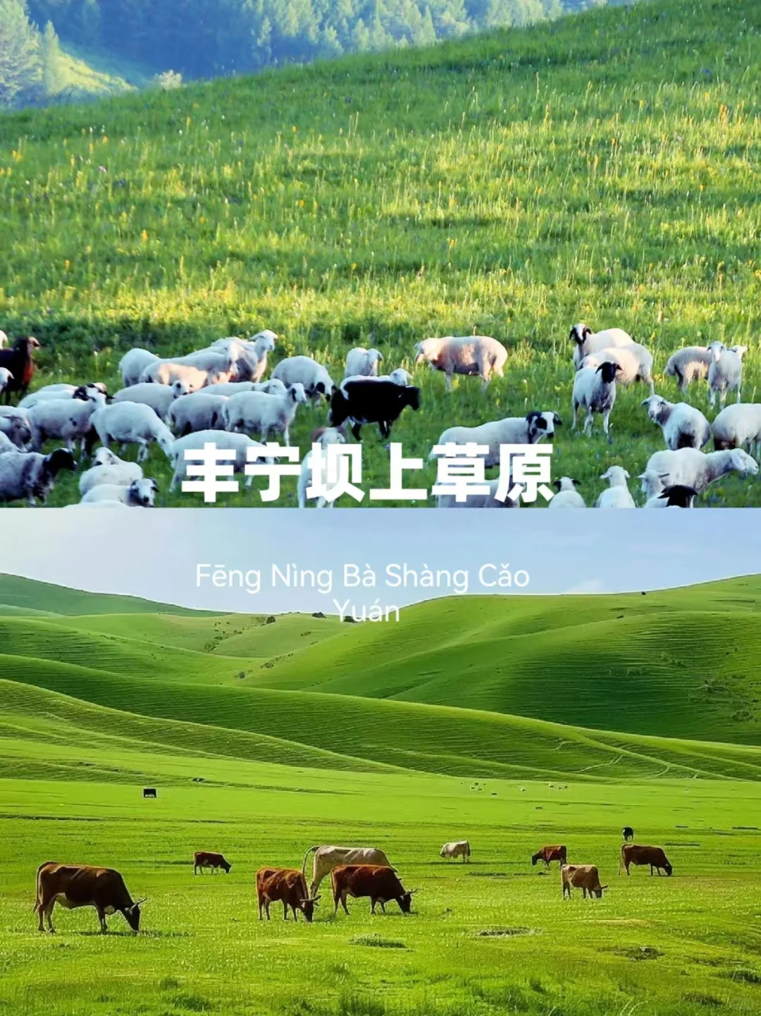 什么？这些小众打卡地竟是美景避暑天堂！