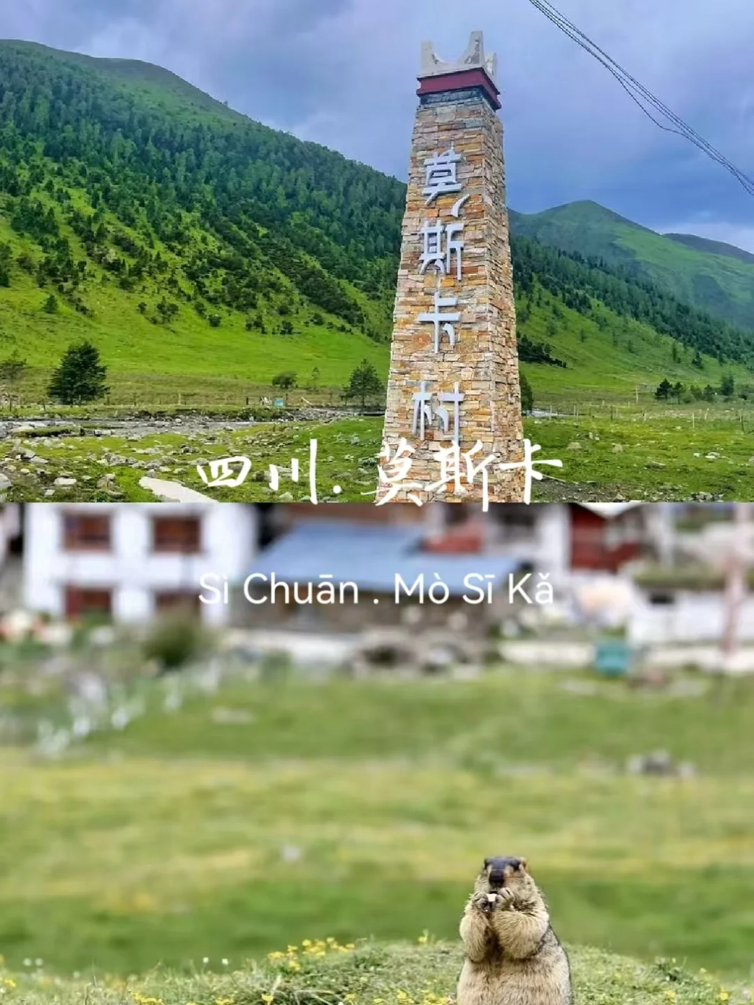 什么？这些小众打卡地竟是美景避暑天堂！
