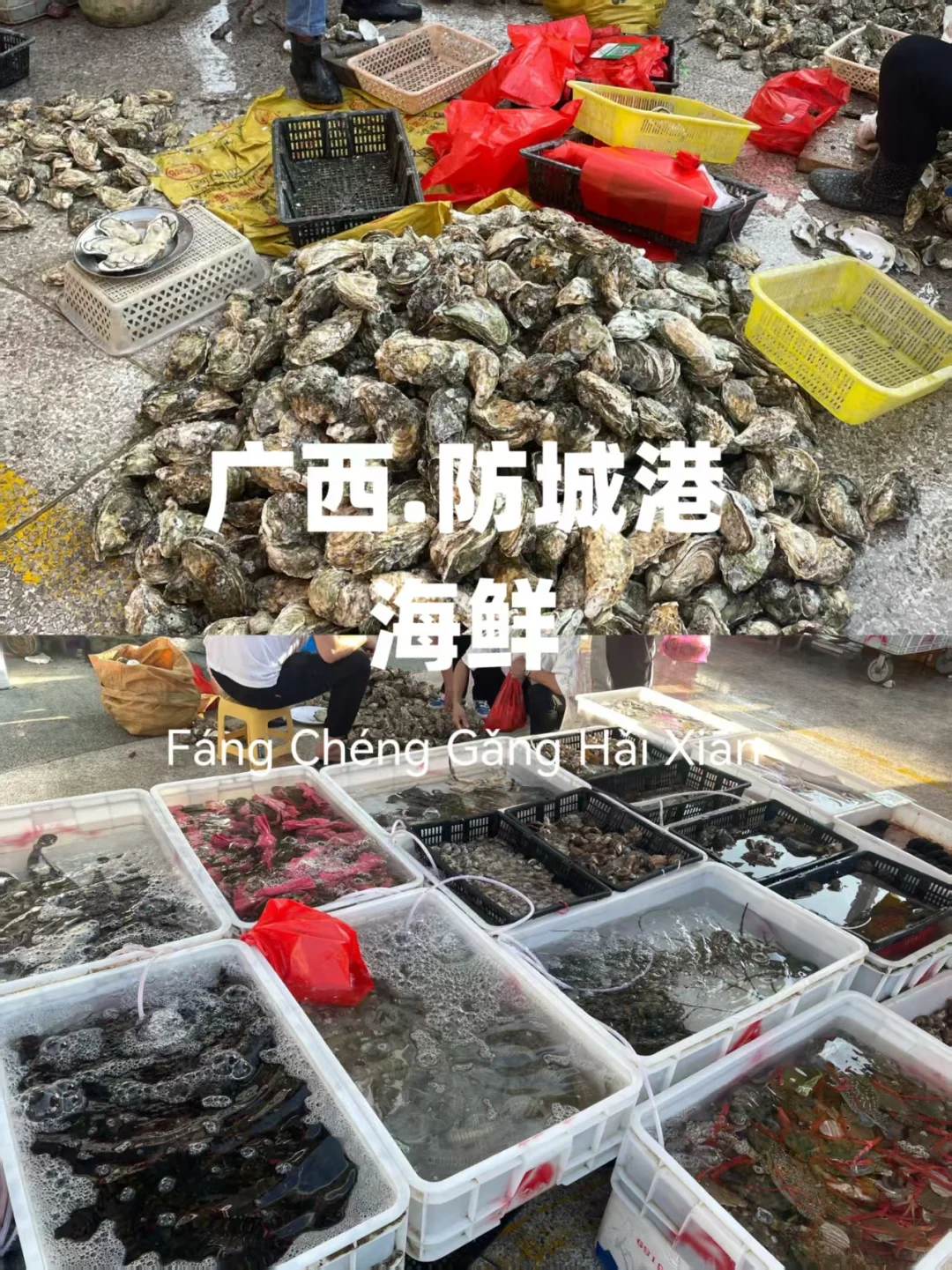 什么？这些小众打卡地竟是美景避暑天堂！