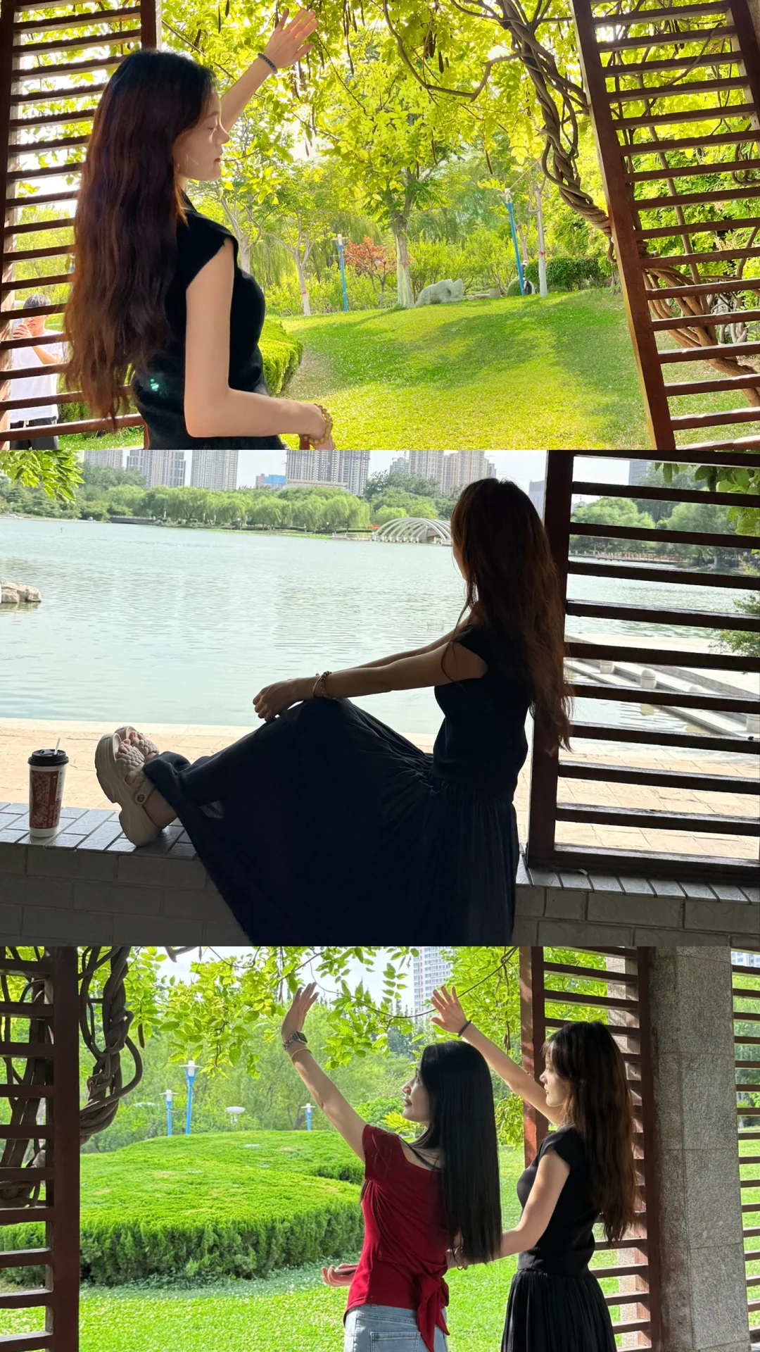 属于邯郸的莫奈花园🏞️好美