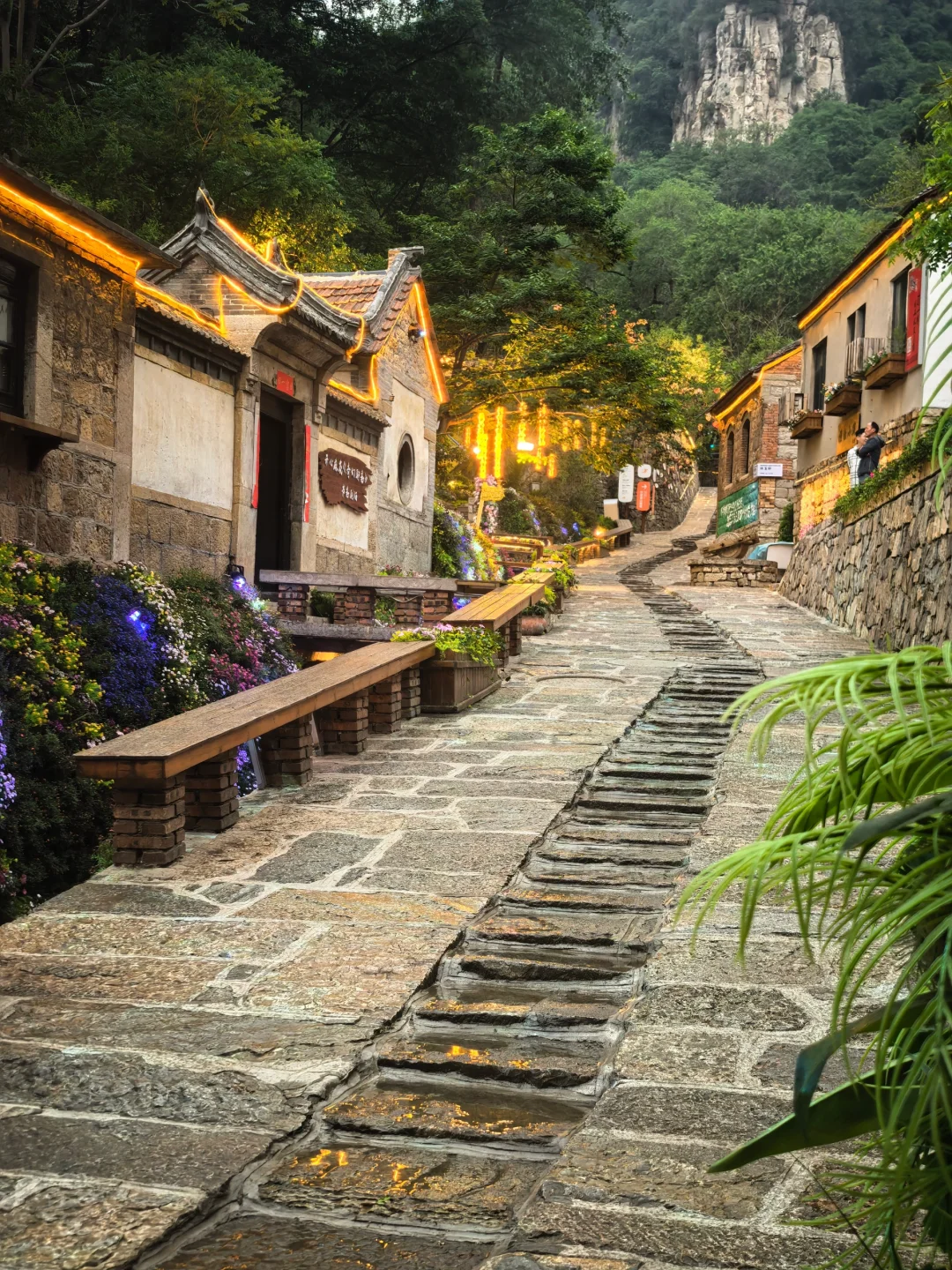 🍃朋友圈都以为我出省了，其实我还在山东
