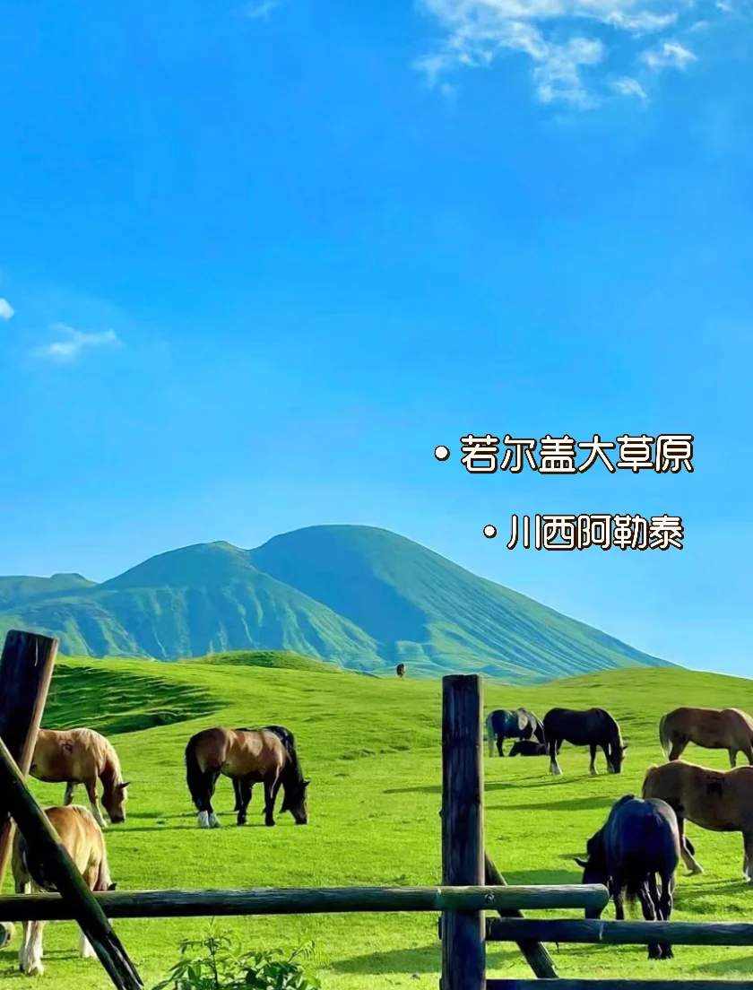 四川‼️你到底还有多少惊喜是我不知道的