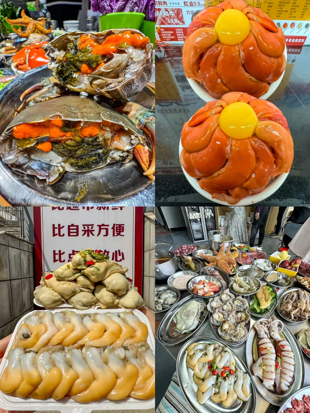 大二学生穷游威海|三天两夜全包700💰