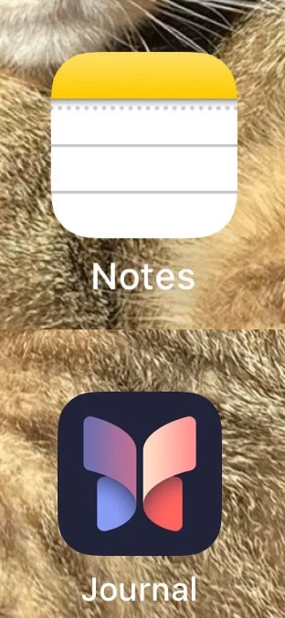 我真的把这两个app变成了我的电子日记📝