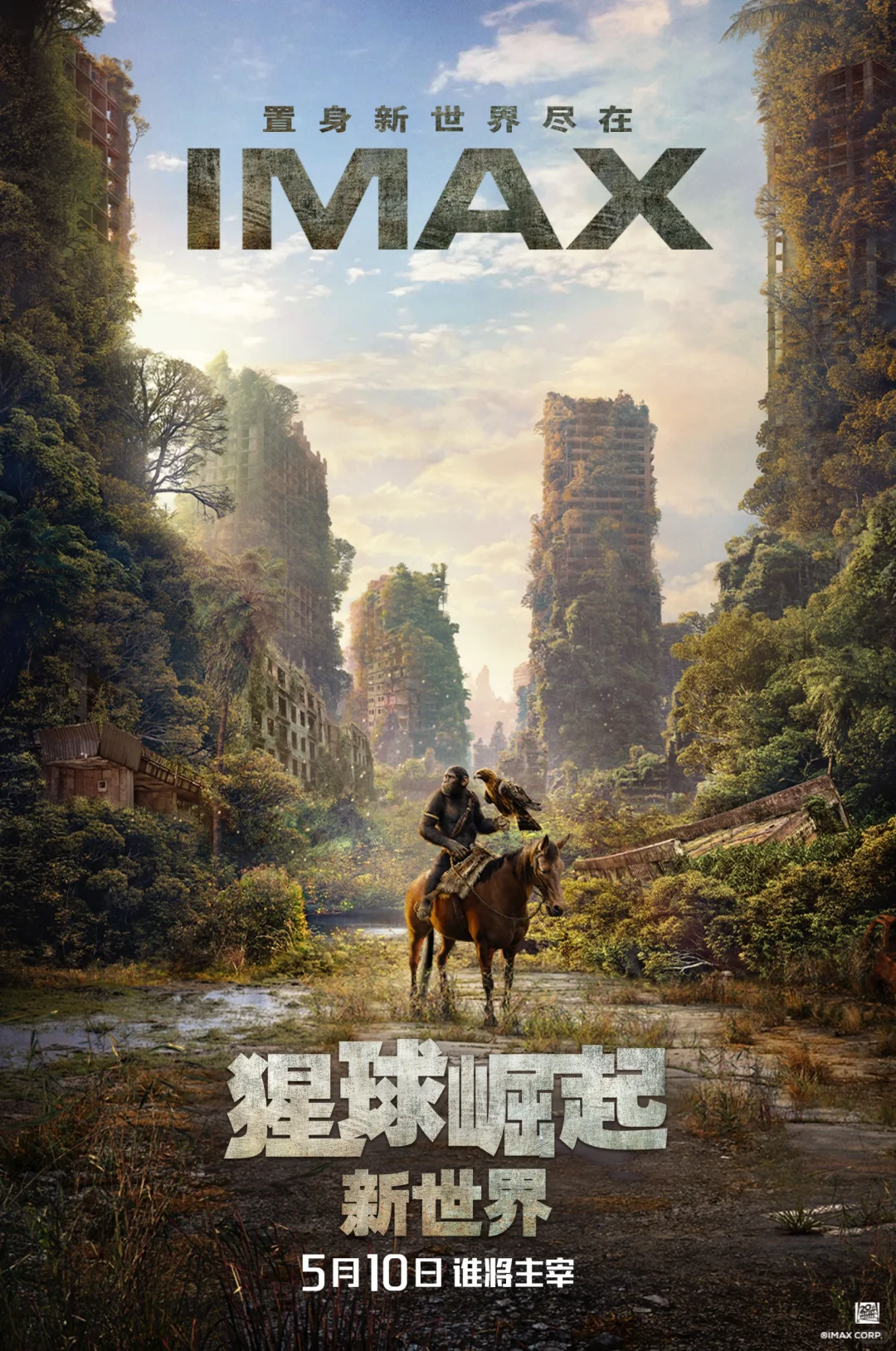 IMAX电影票代购2张不限影院 不限电影