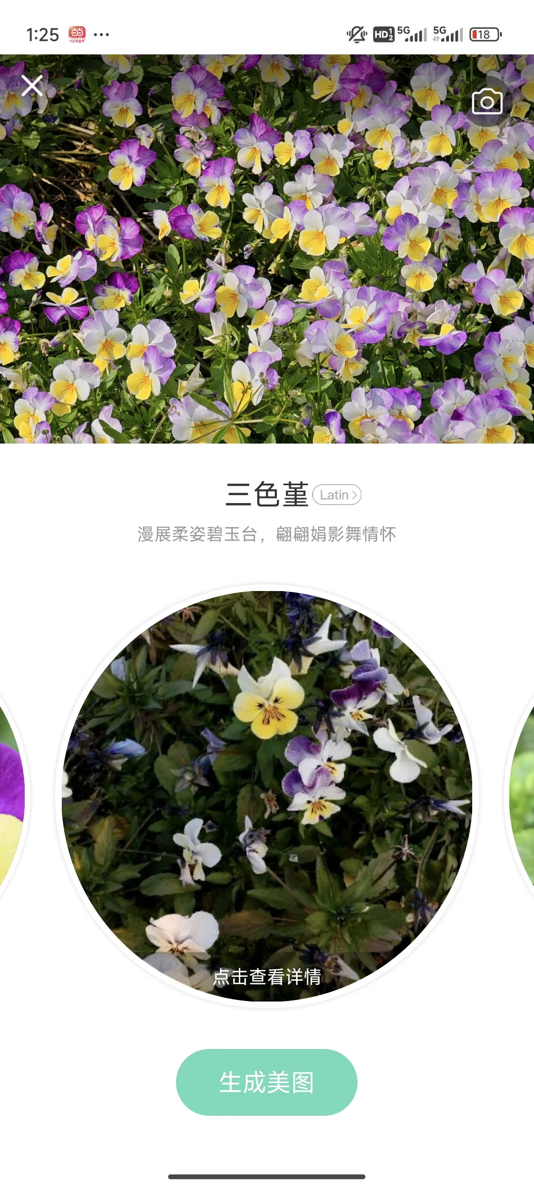 拍花人的福音丨植物分辨app