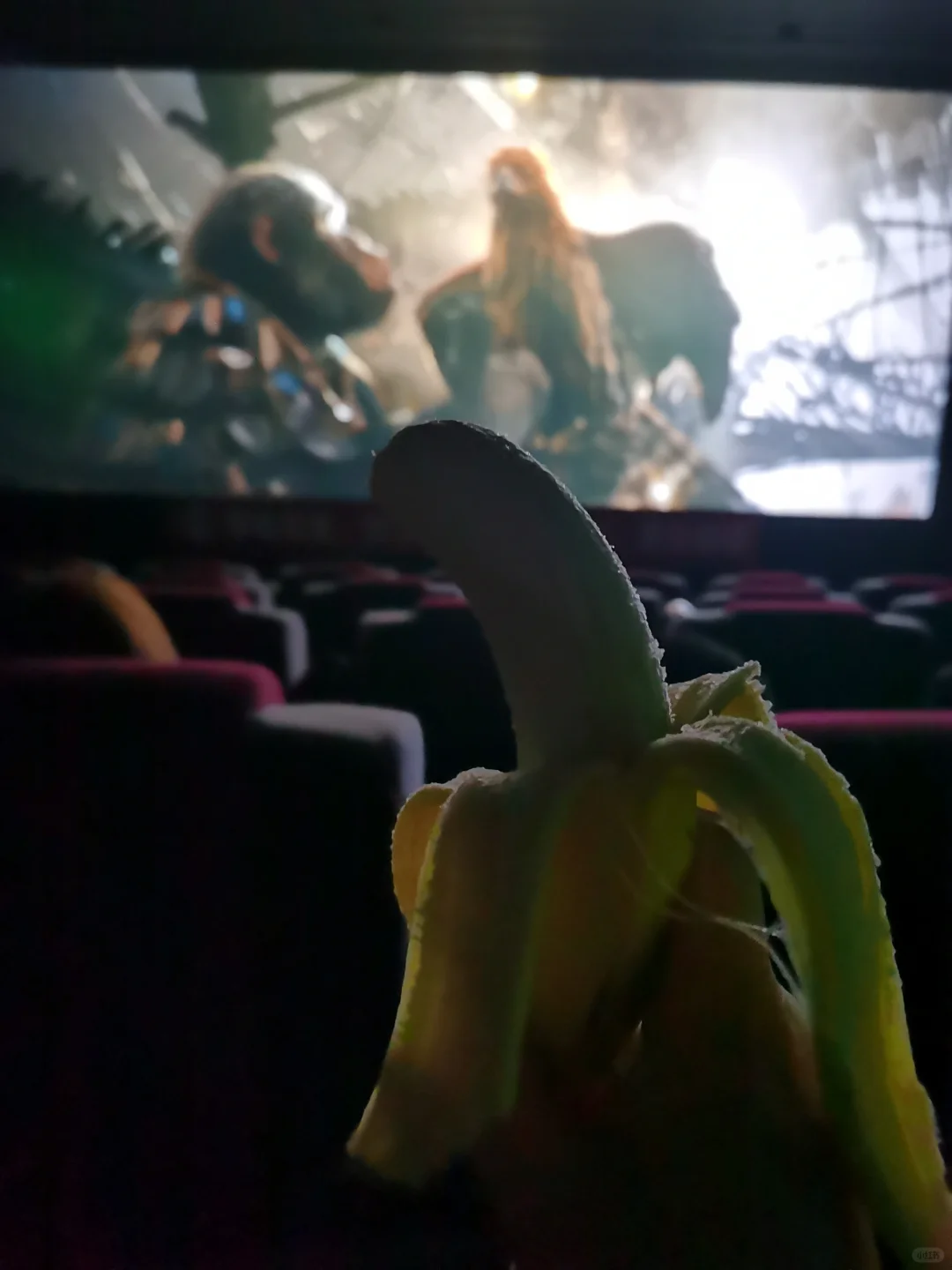 猩球崛起电影还没有香蕉好吃