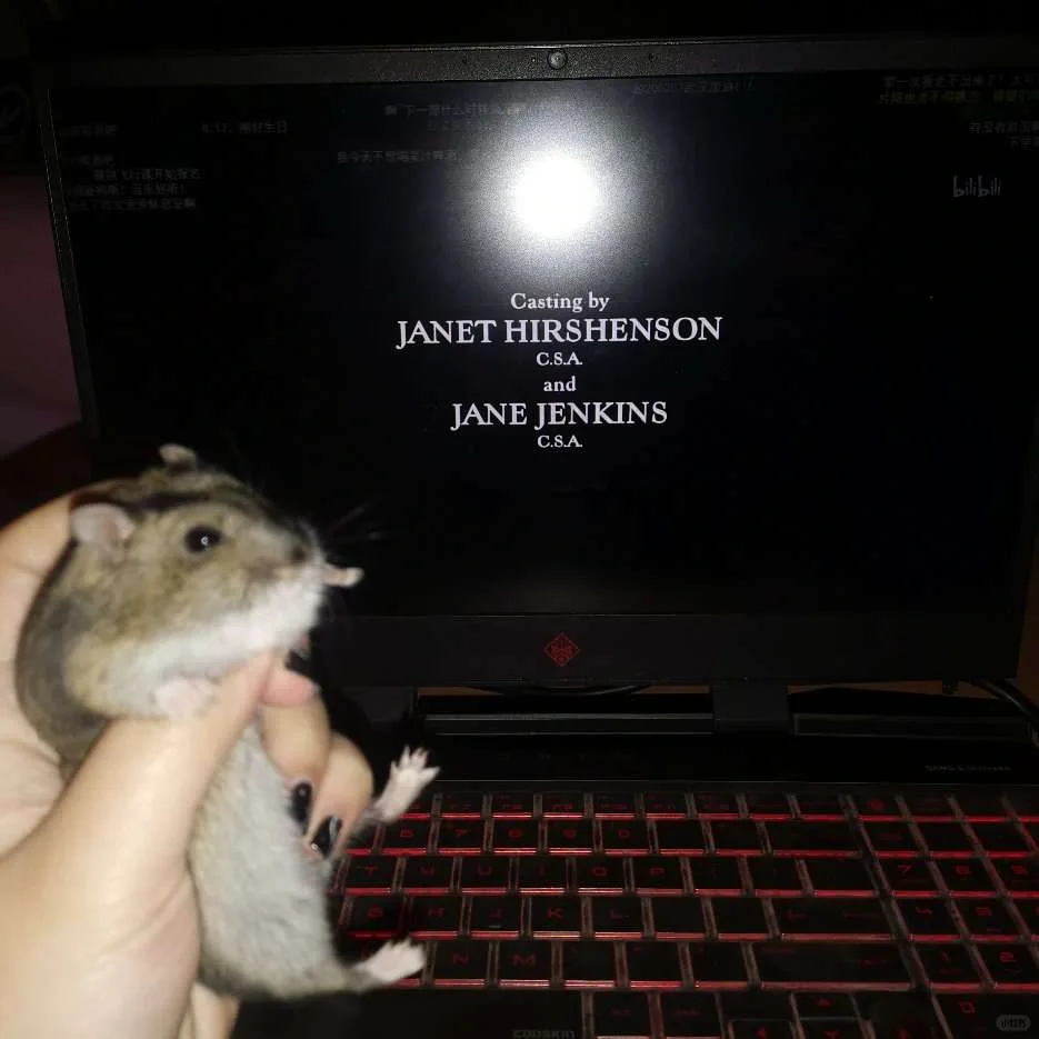和鼠鼠一起看电影