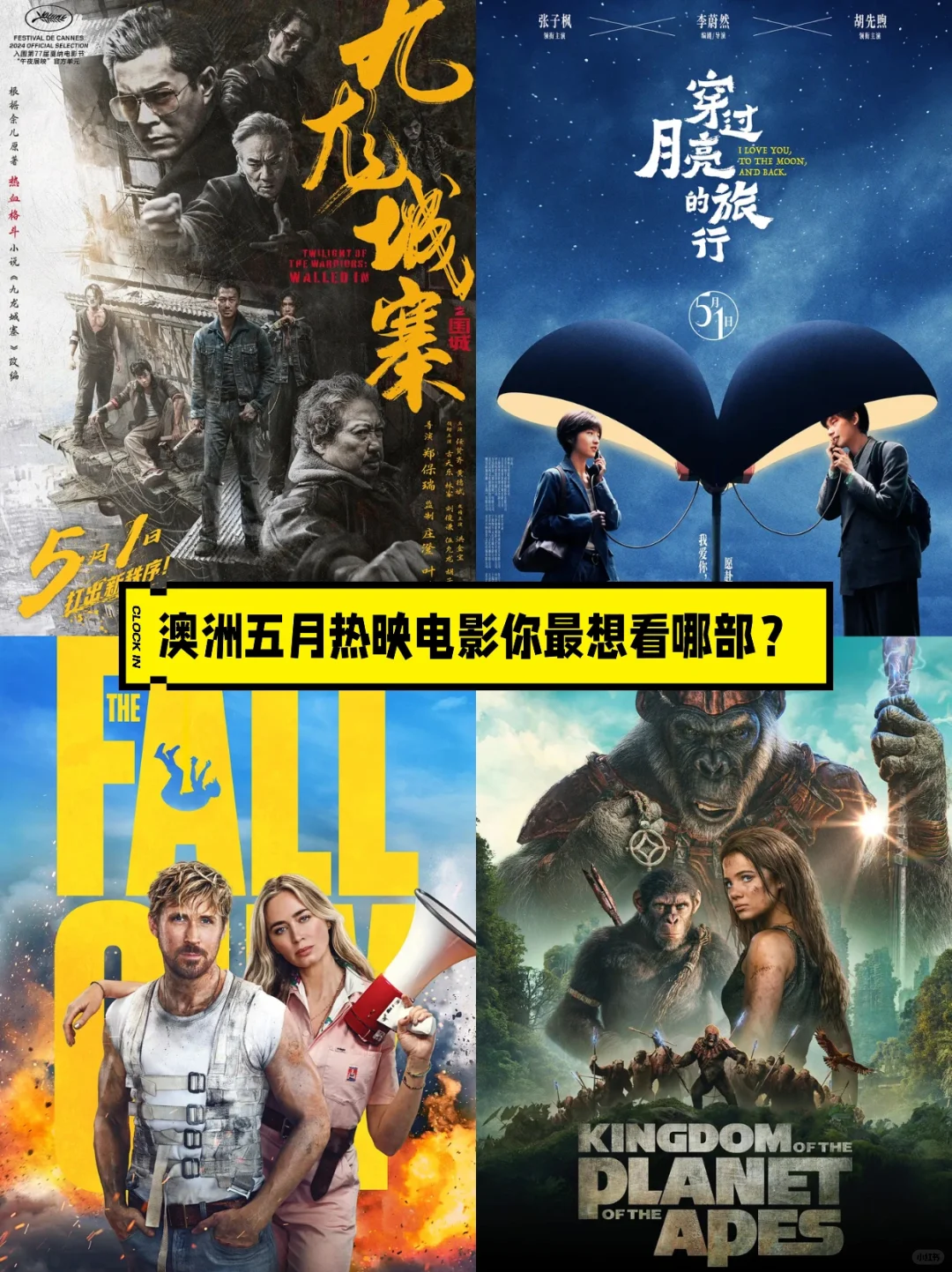 墨大生集结❗️5月热映电影你蕞想看哪部❓