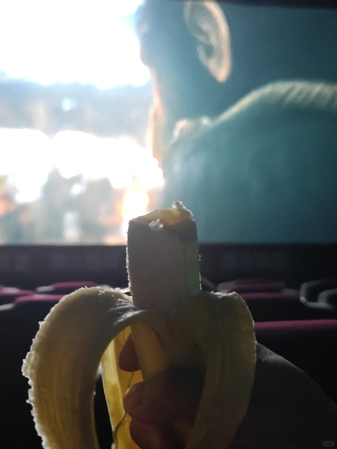猩球崛起电影还没有香蕉好吃