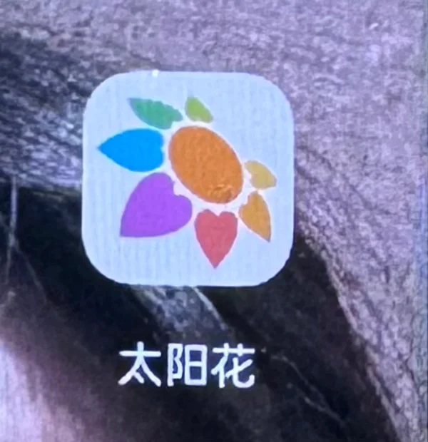 有人知道这个app吗