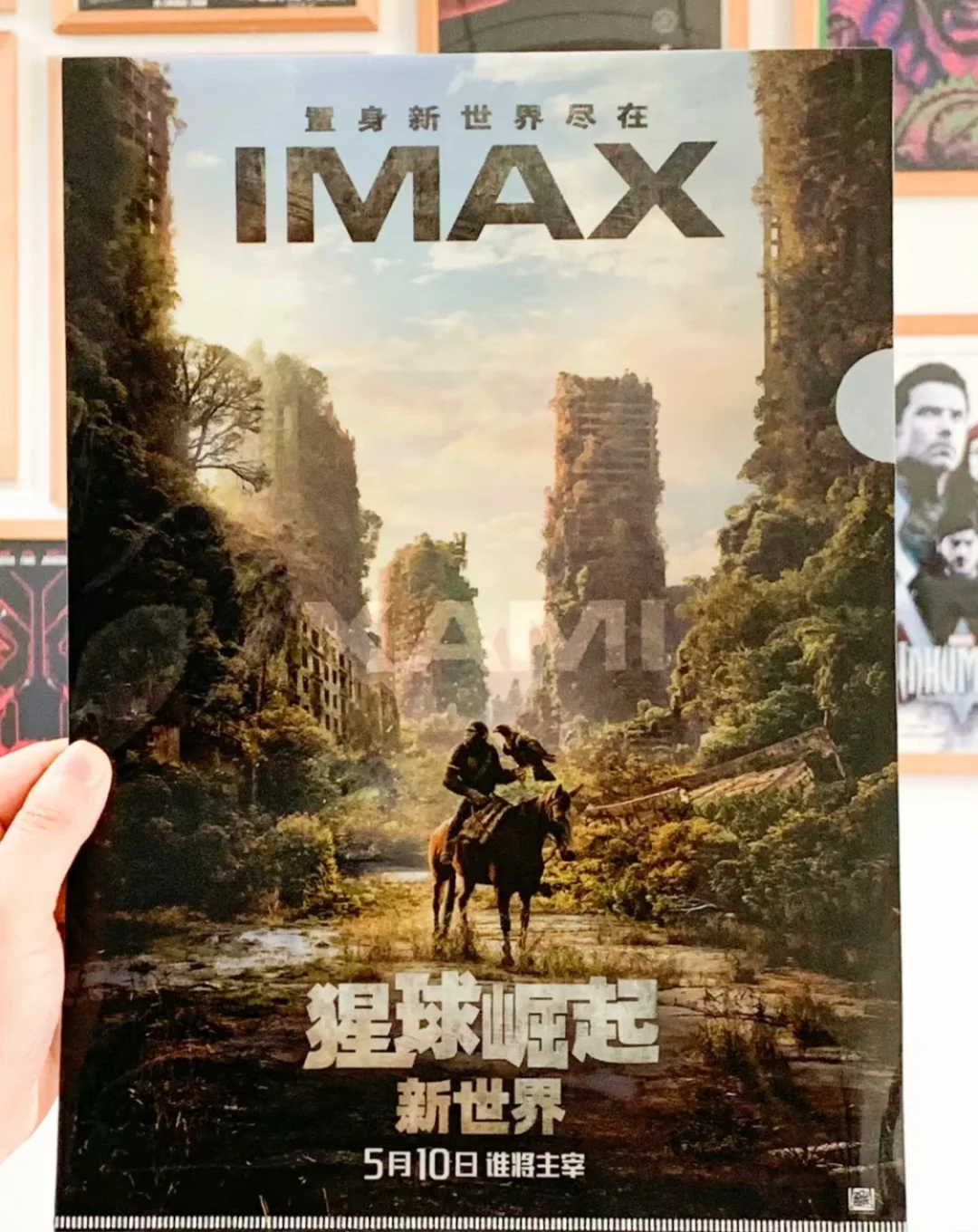 看电影一定要去看IMAX❗️❗️