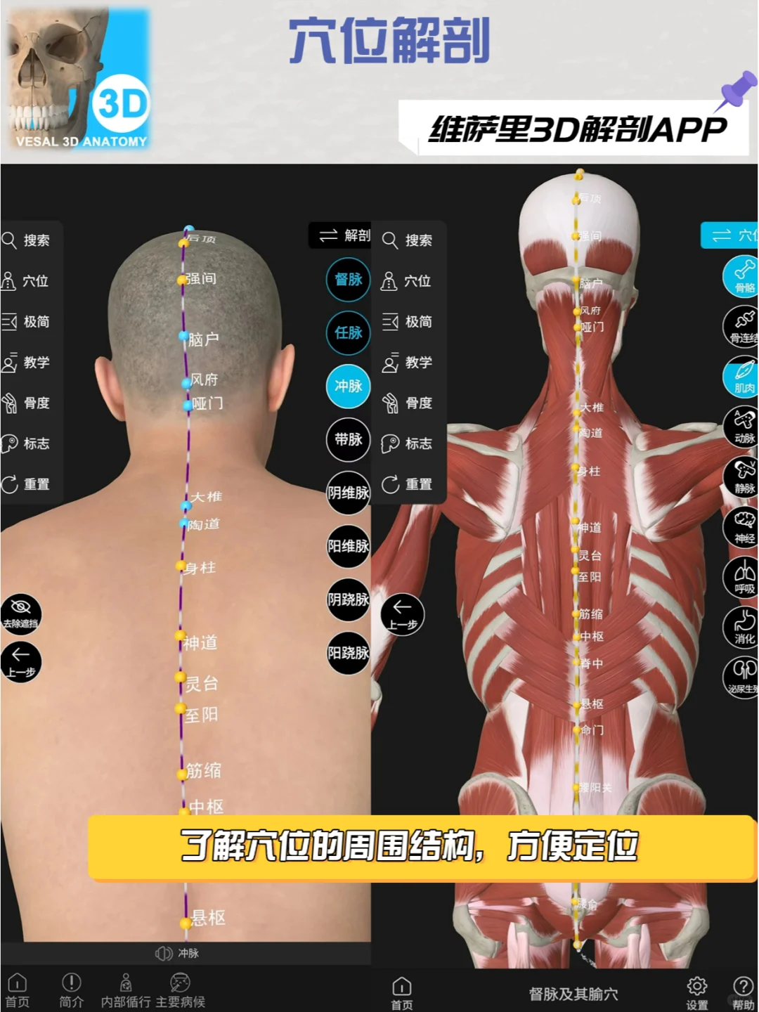 求求都用这款解剖软件去学习！