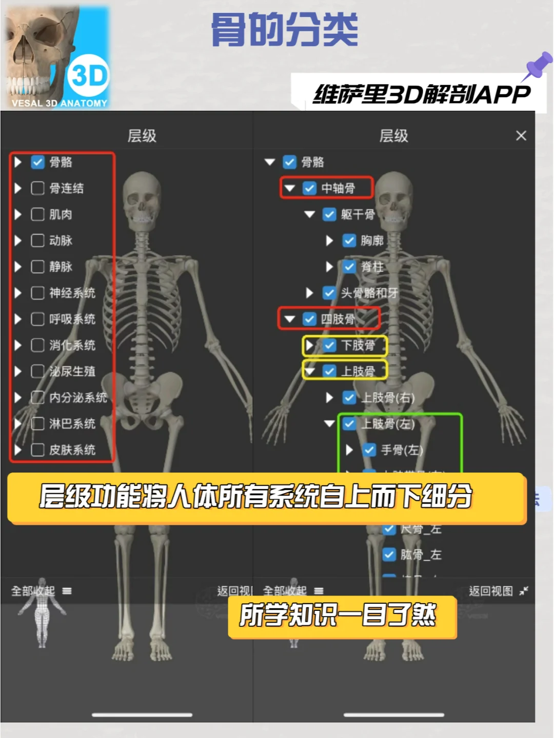 求求都用这款解剖软件去学习！