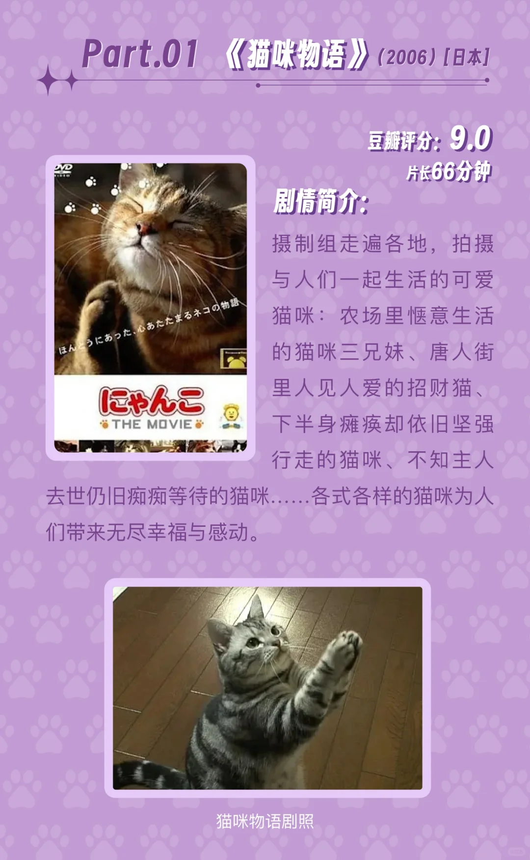 🎬影片推荐5️⃣部治愈温馨的猫咪电影