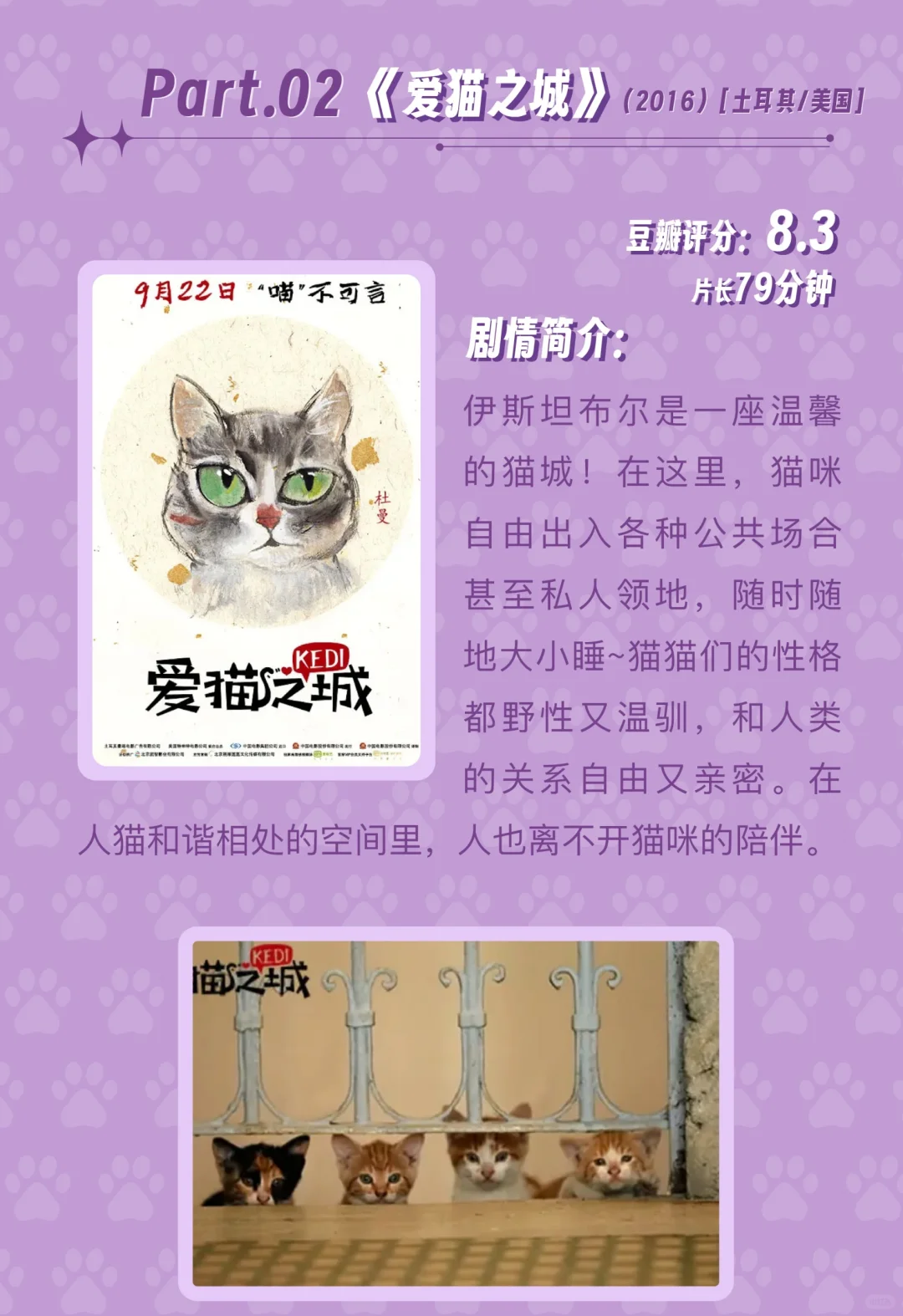 🎬影片推荐5️⃣部治愈温馨的猫咪电影