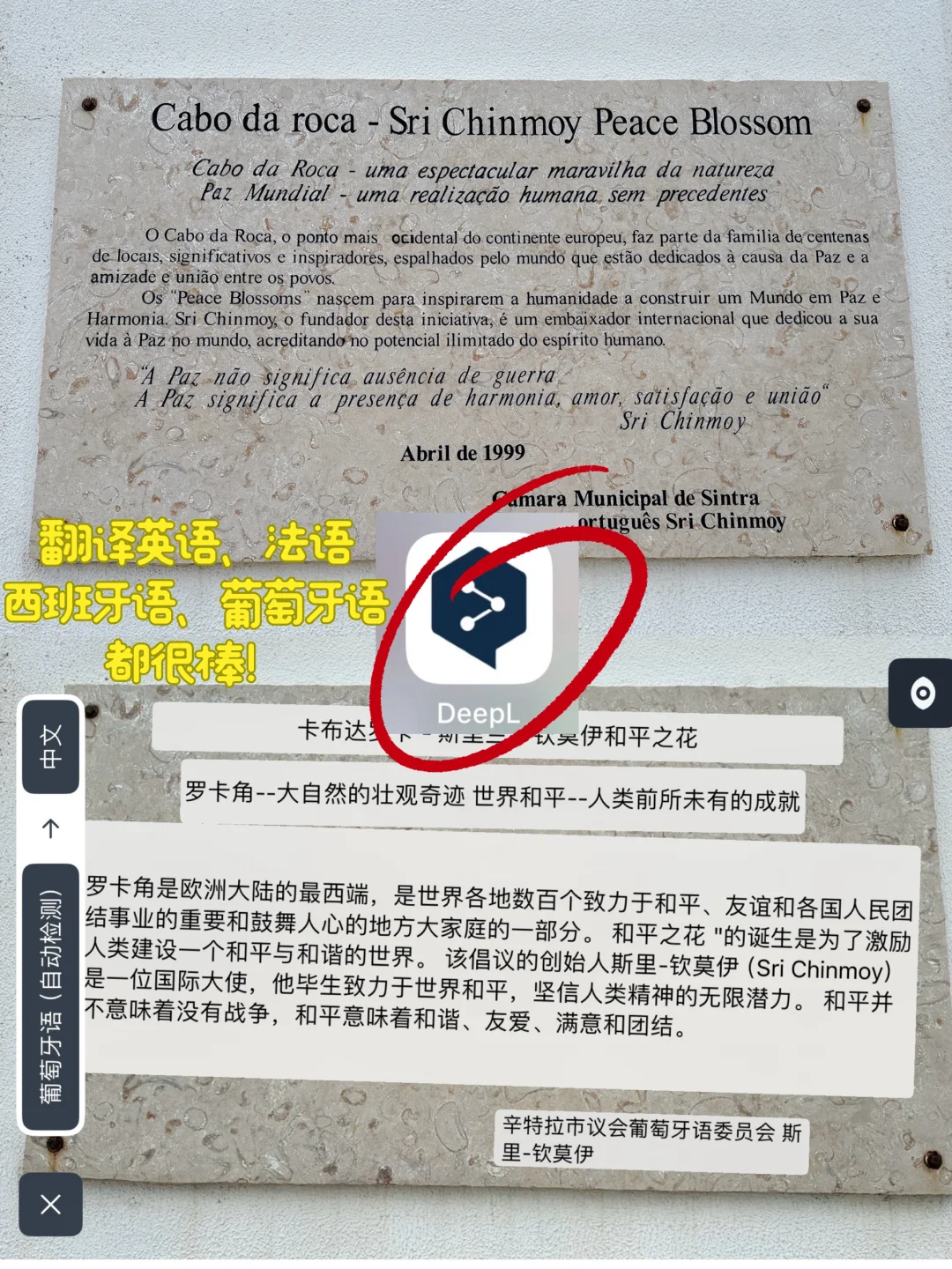 去欧洲｜省钱省力，必备这些APP，靠谱❗️❗️