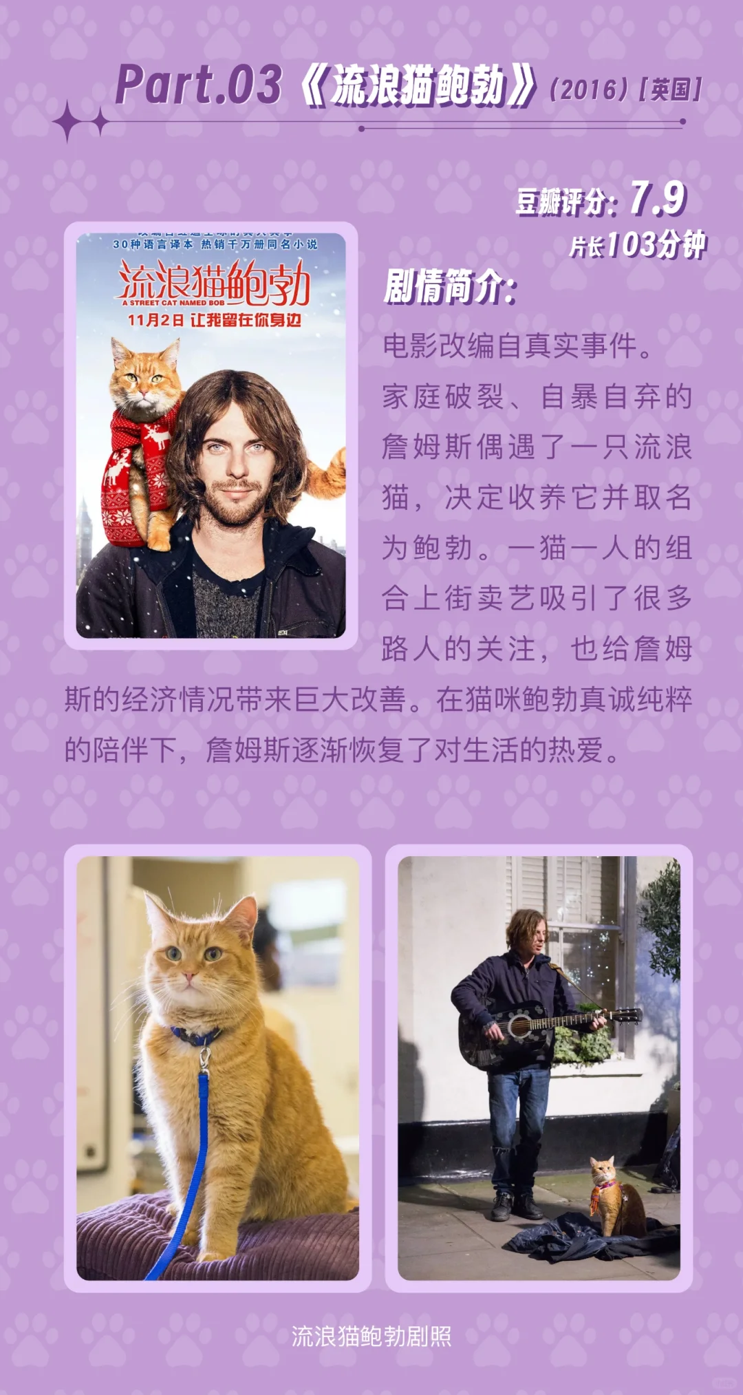 🎬影片推荐5️⃣部治愈温馨的猫咪电影