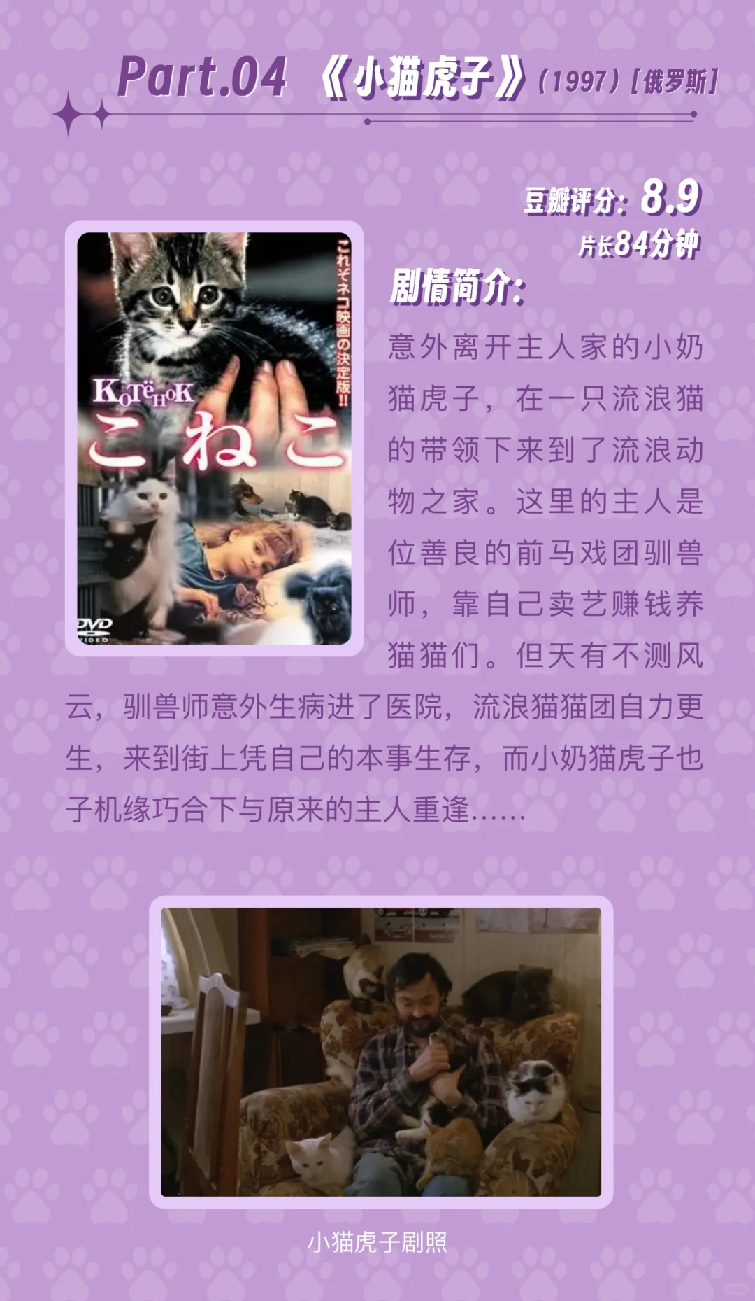 🎬影片推荐5️⃣部治愈温馨的猫咪电影