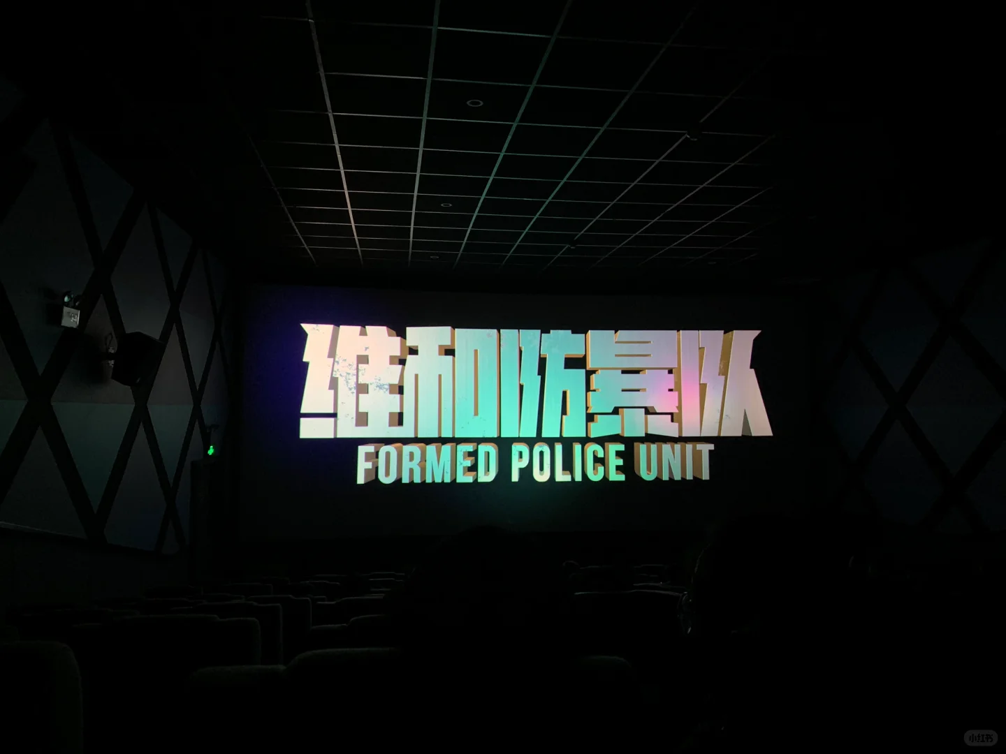 电影🎬维和防爆队